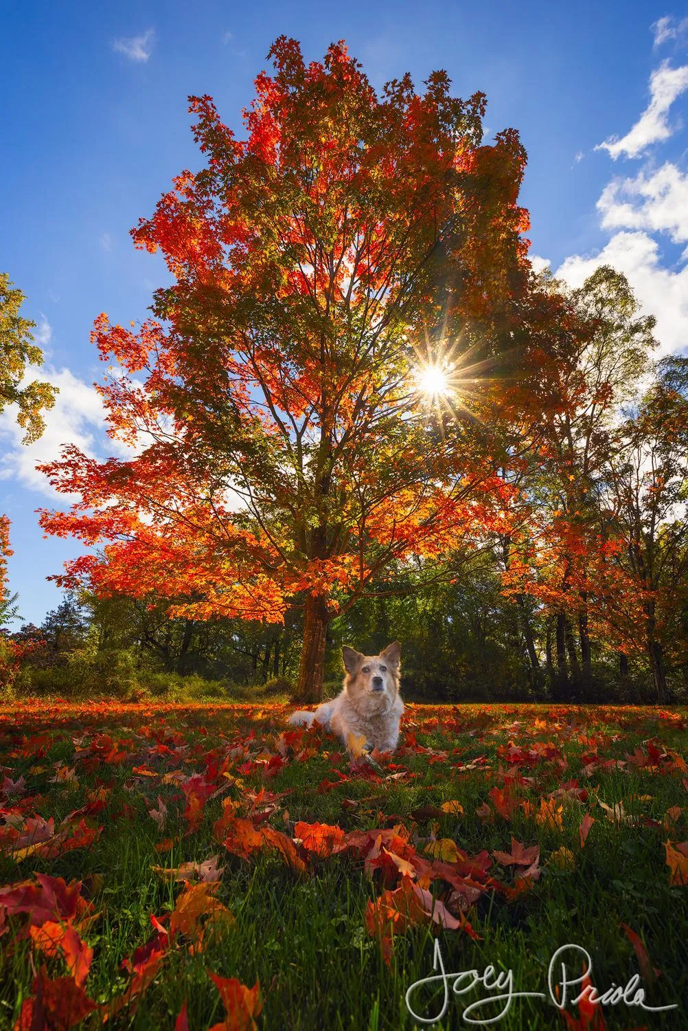 Day in Cromwell Manor Inn
