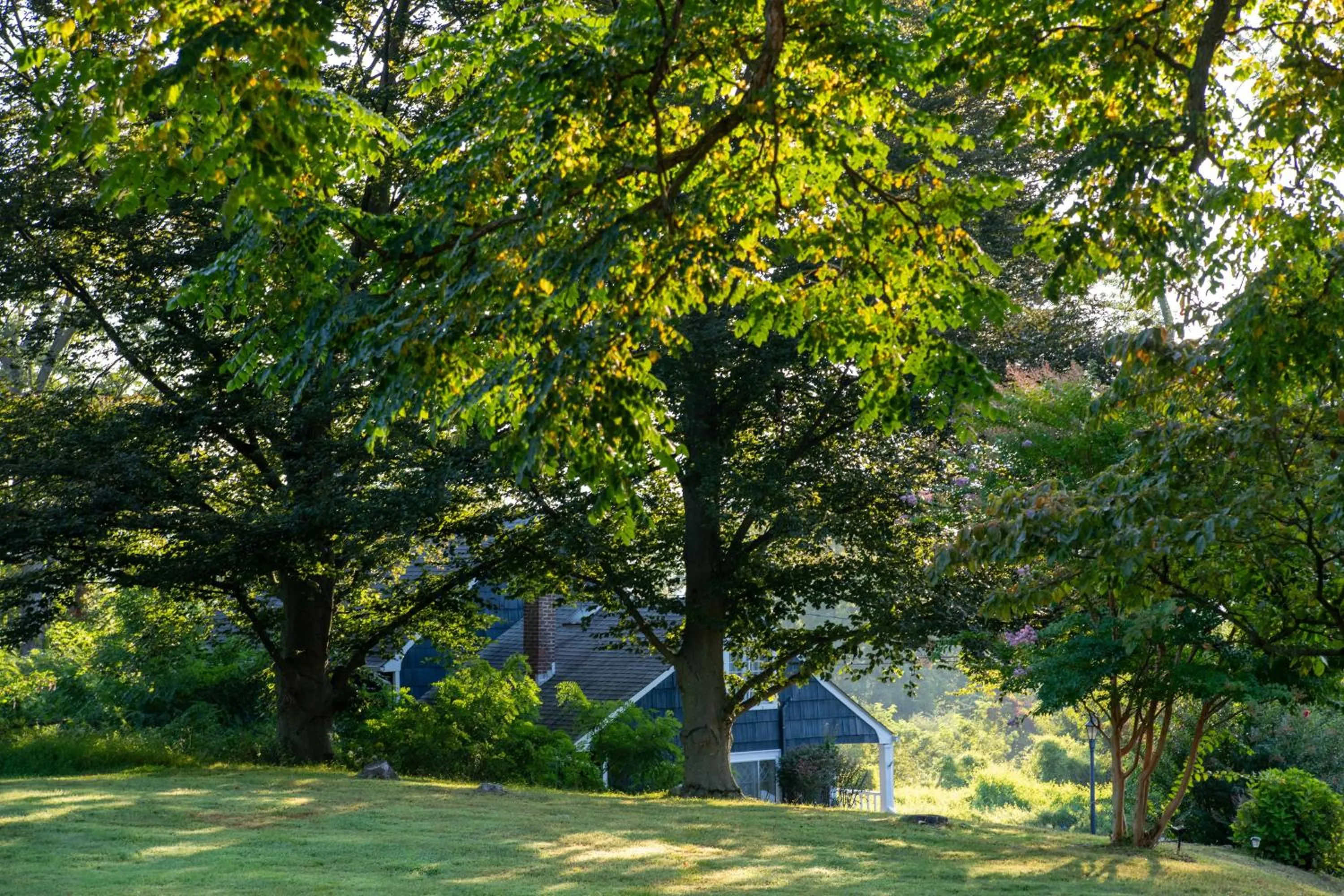 Natural landscape in Cromwell Manor Inn