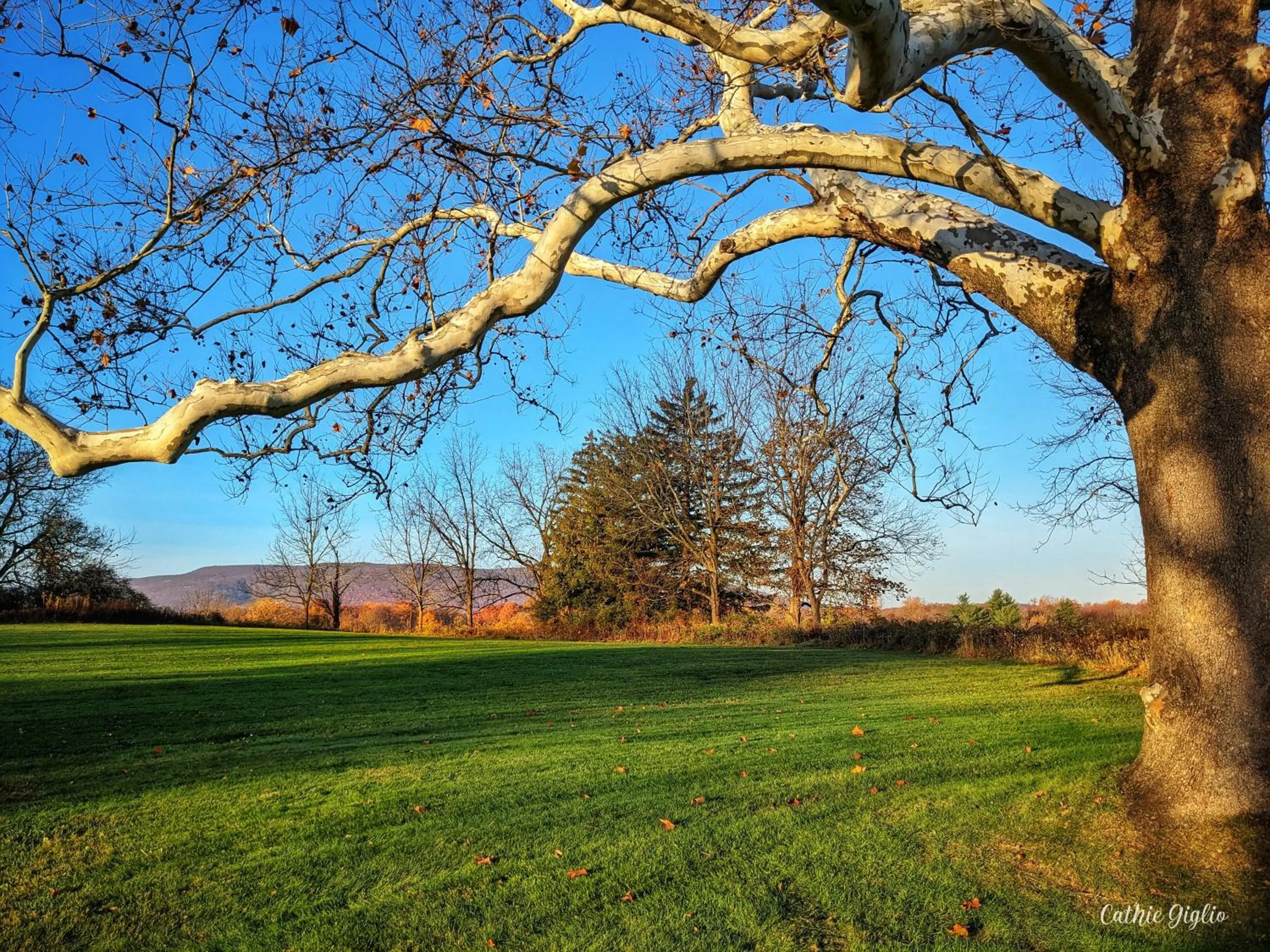 Day in Cromwell Manor Inn