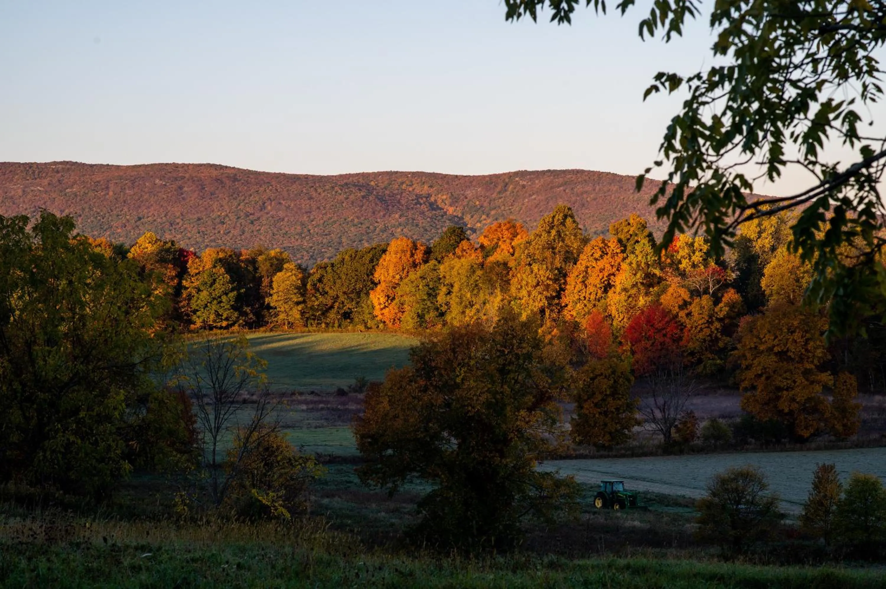 Natural landscape in Cromwell Manor Inn