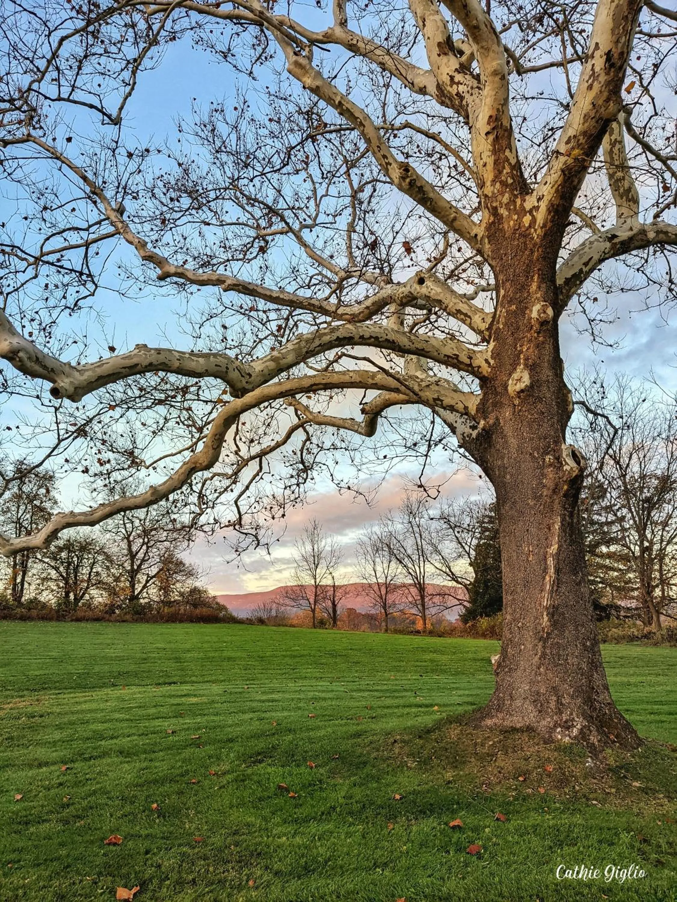 Day in Cromwell Manor Inn