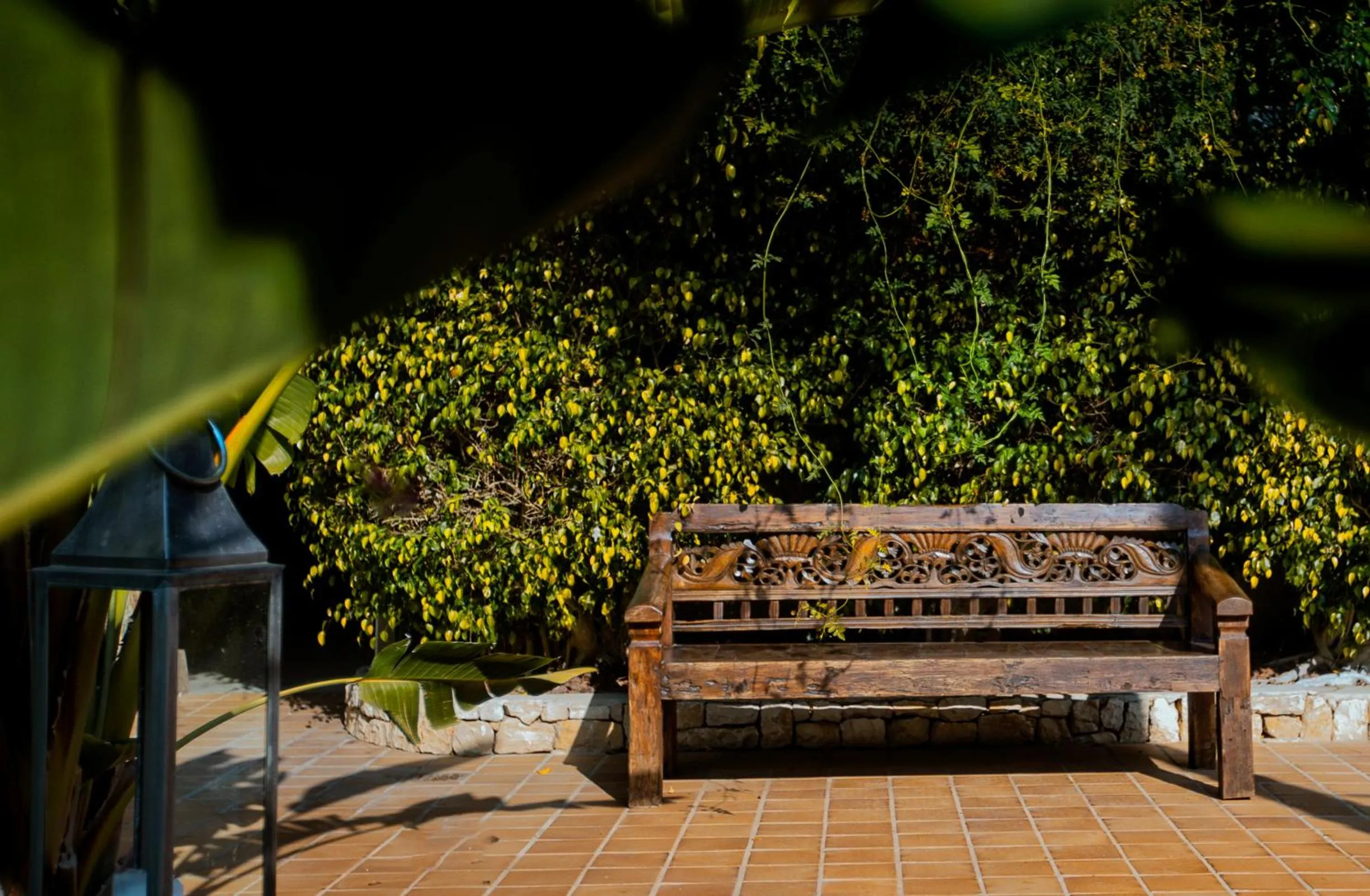 Garden in SWISS MORAIRA HOTEL & SPA - Adults only