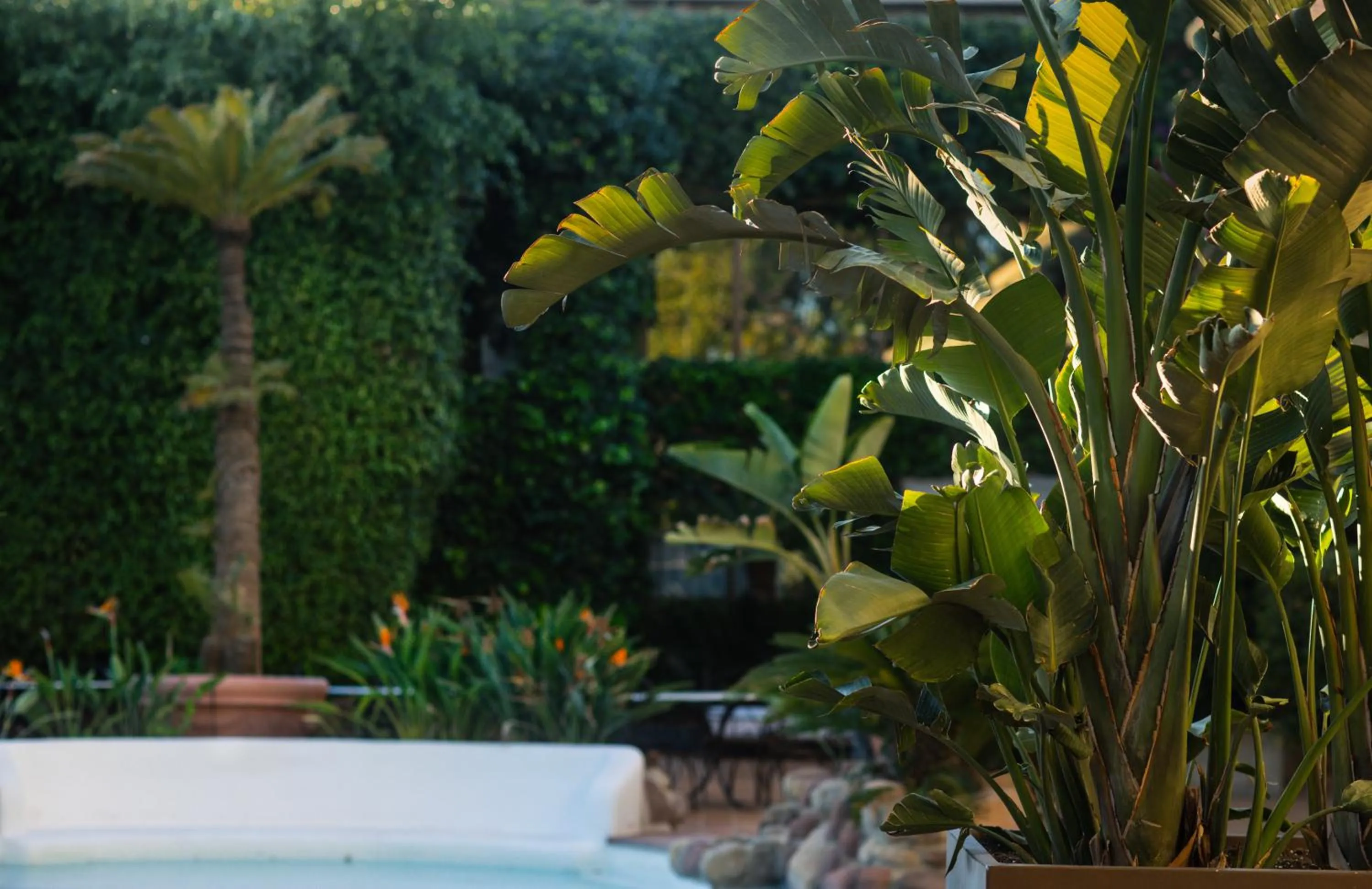 Spring in SWISS MORAIRA HOTEL & SPA - Adults only