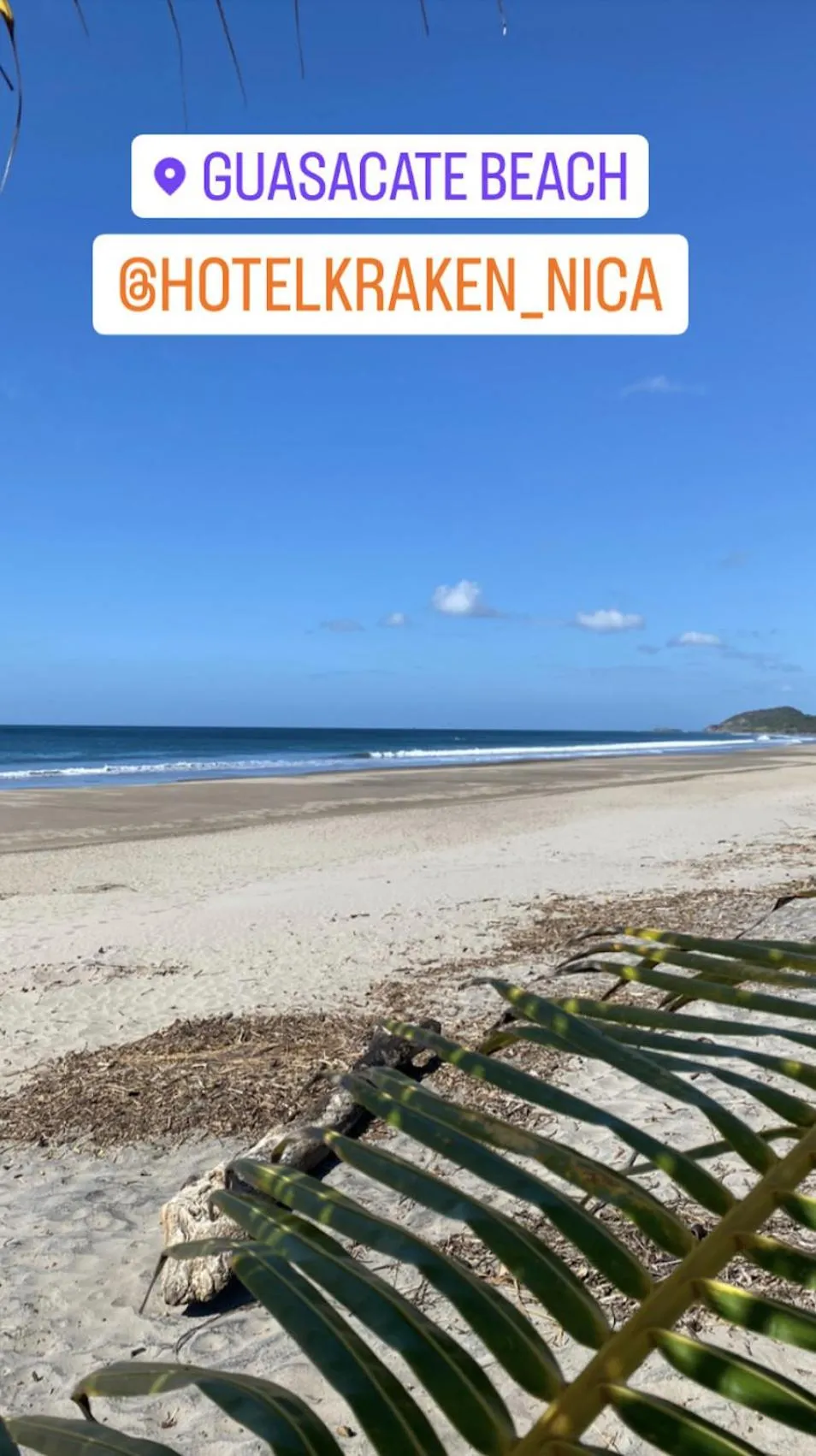 Natural landscape in Hotel Kraken