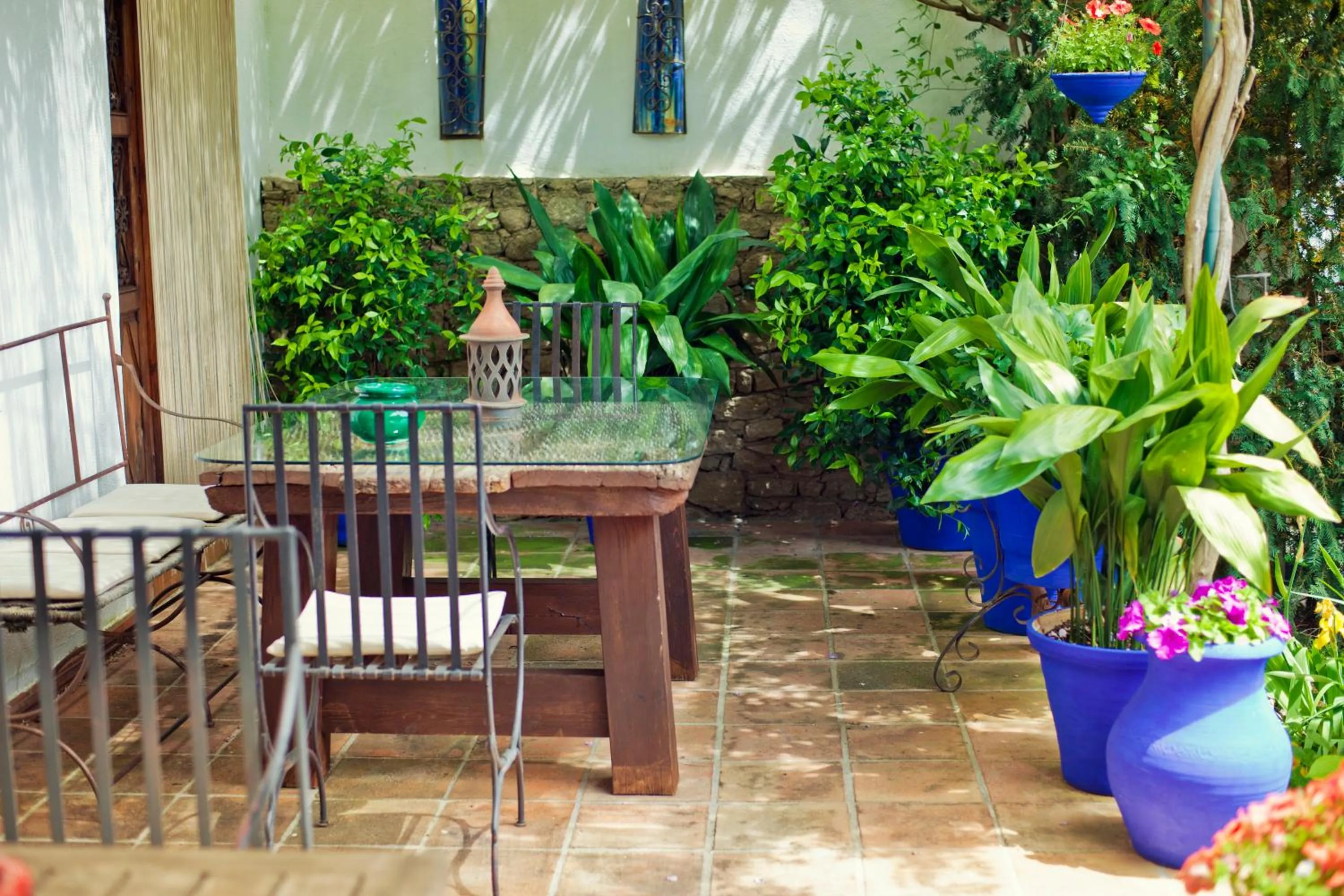 Garden in Alavera de los Baños