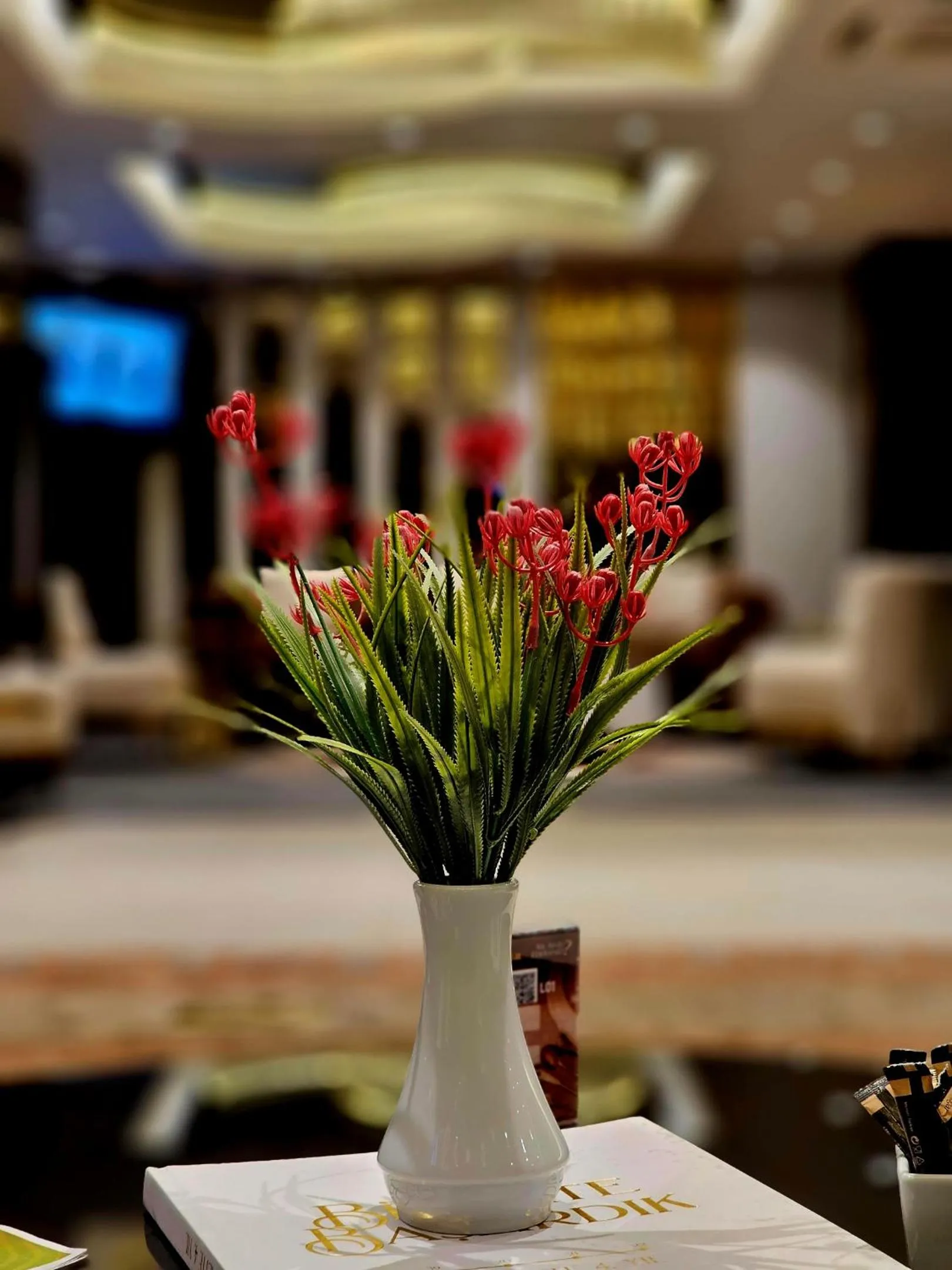 Seating area in Asur Imperıal Hotel