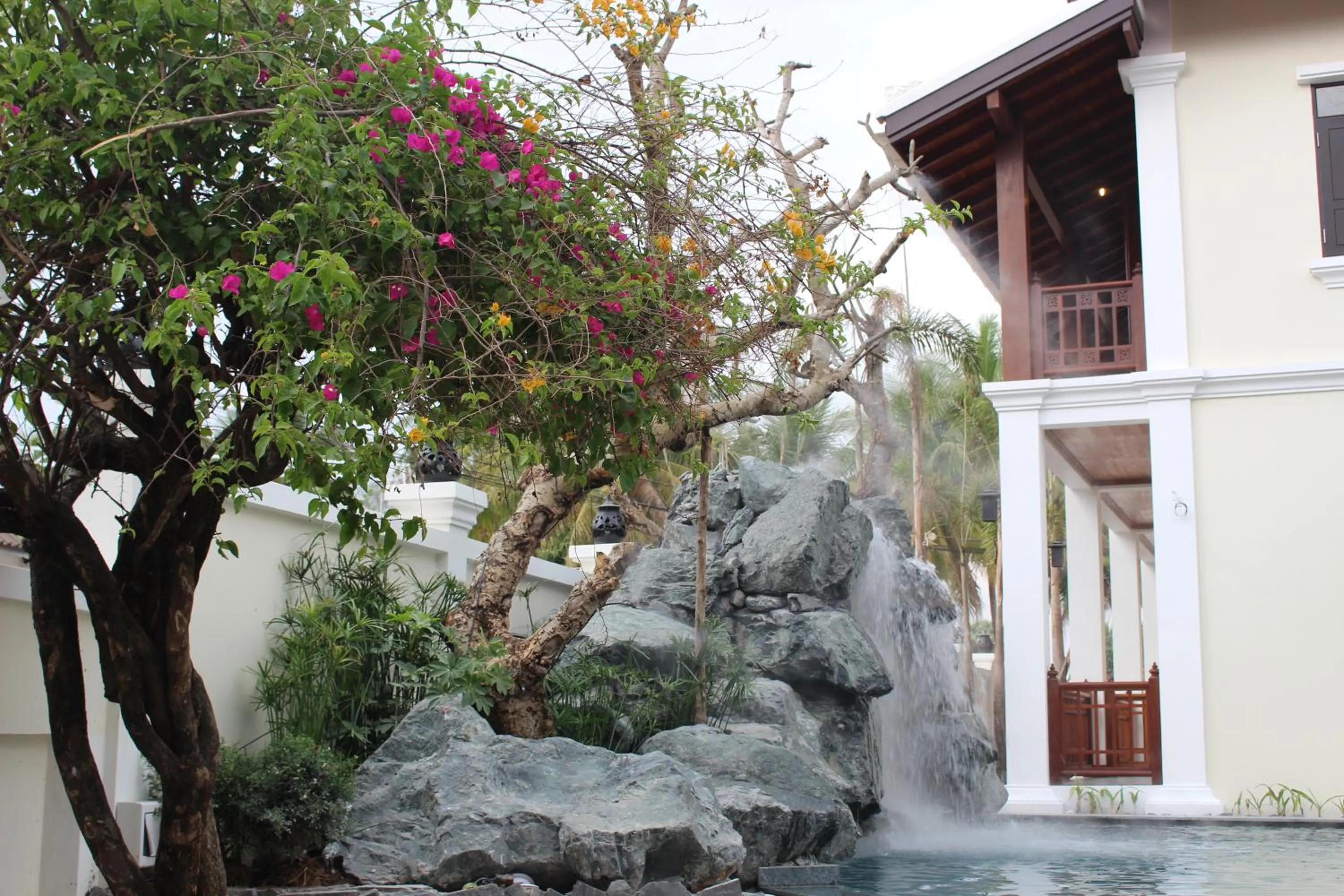 Natural landscape in Lux Hotel