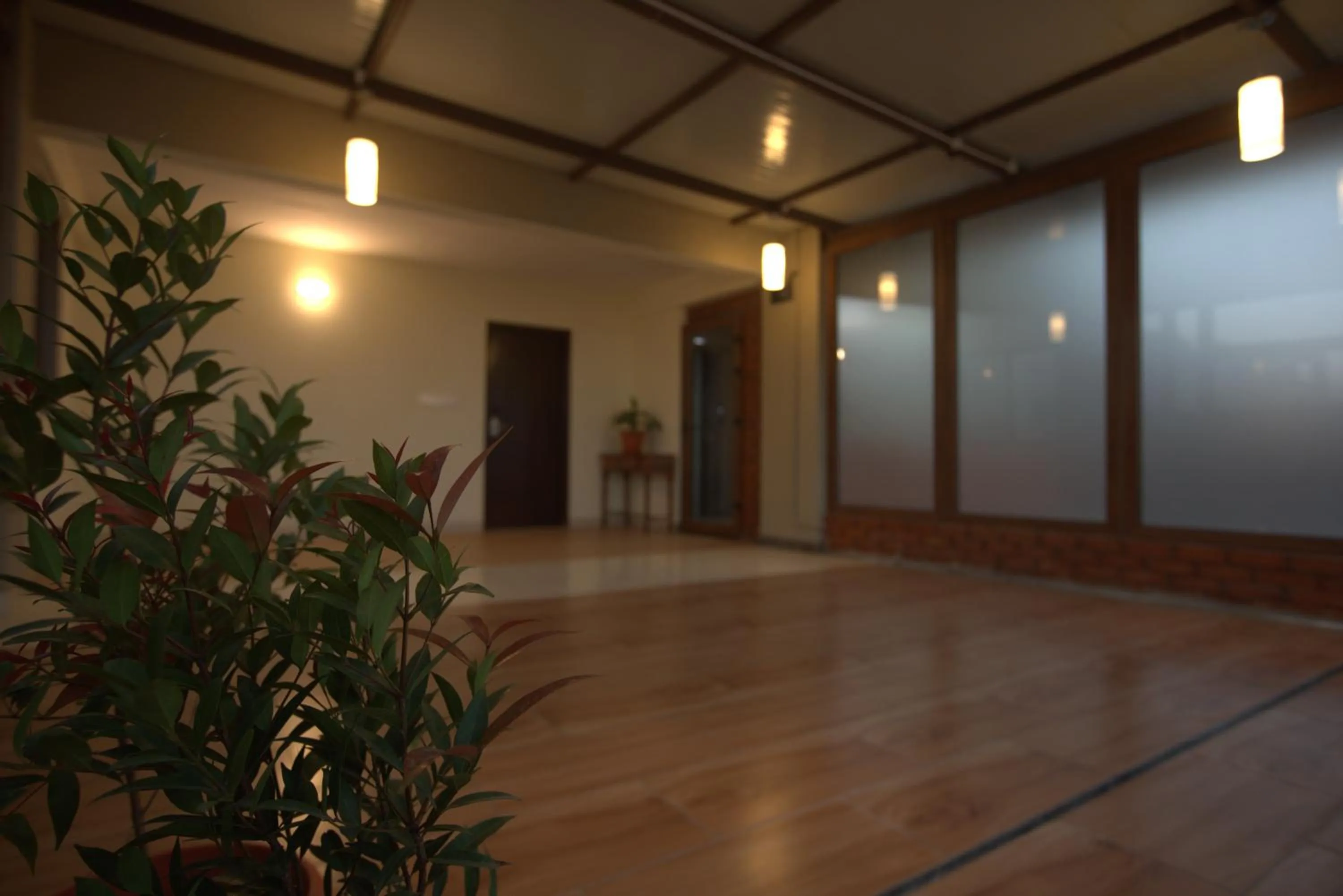 Balcony/Terrace in Elysian Grand Hotel