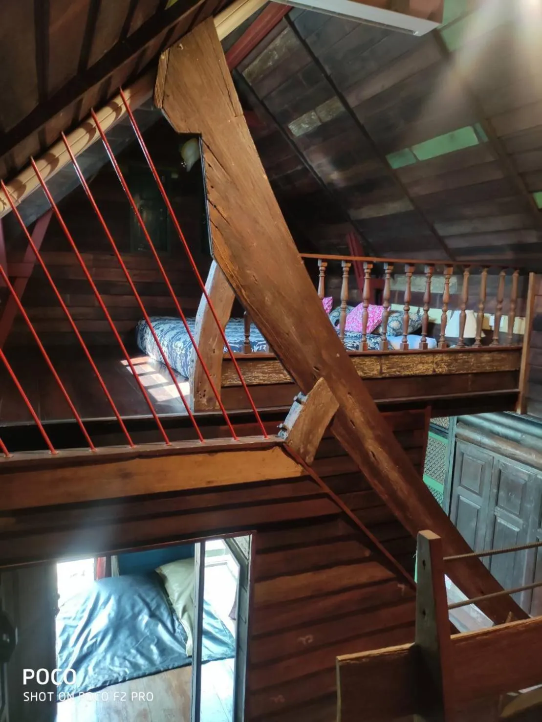 bunk bed in tamarind guesthouse