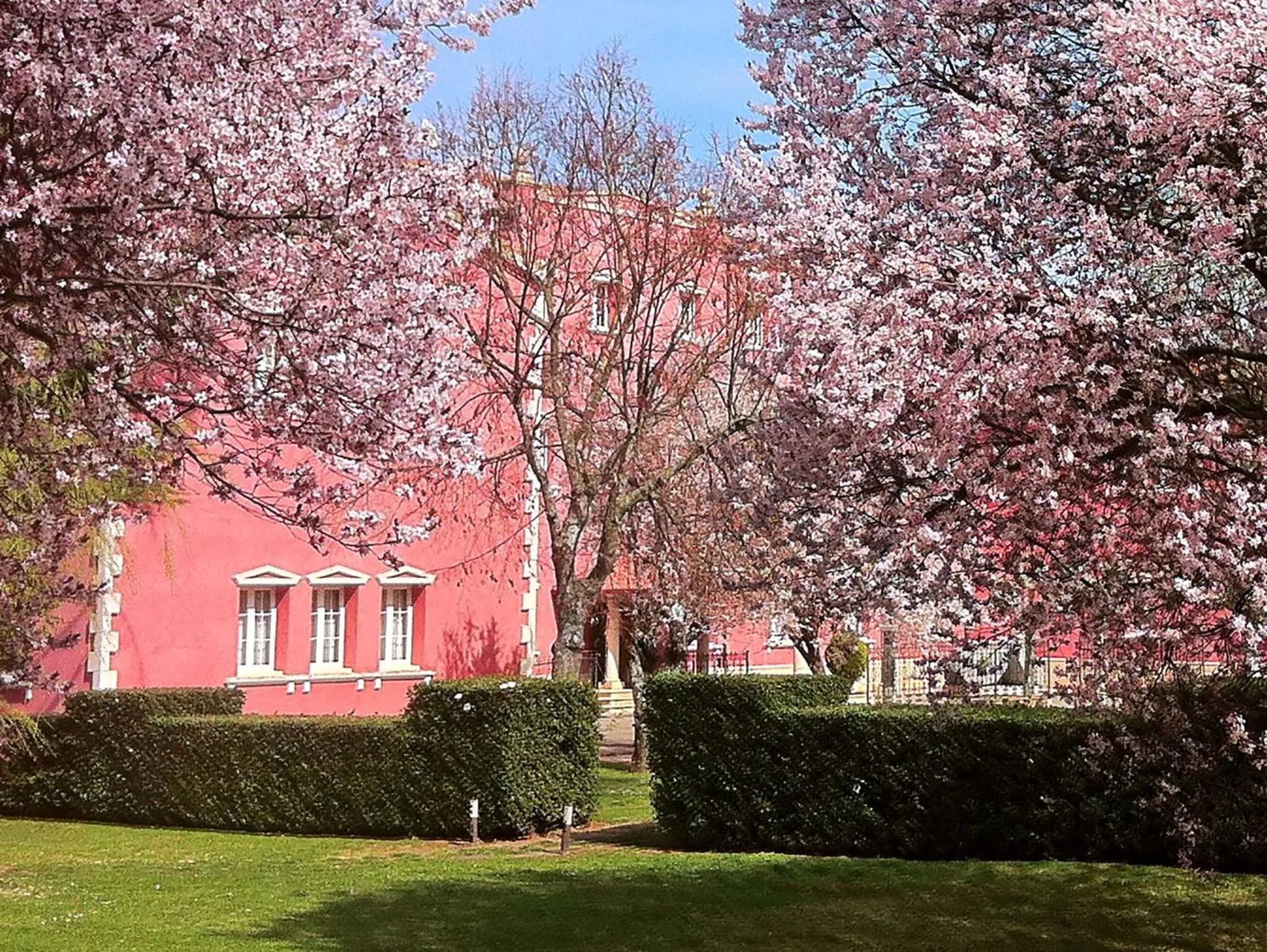 Facade/entrance in Hotel San Camilo
