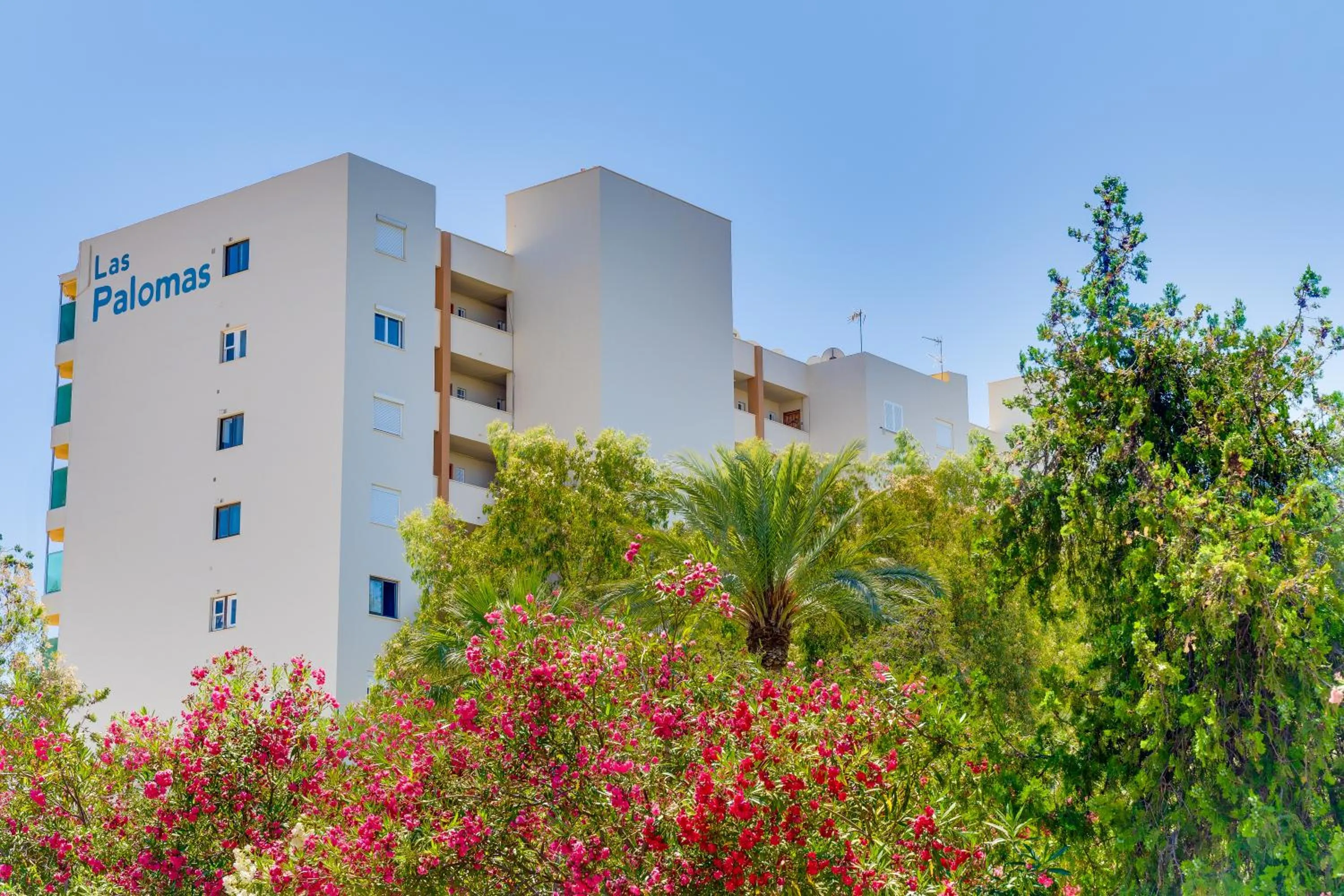 Property building in Las Palomas Apartments Econotels
