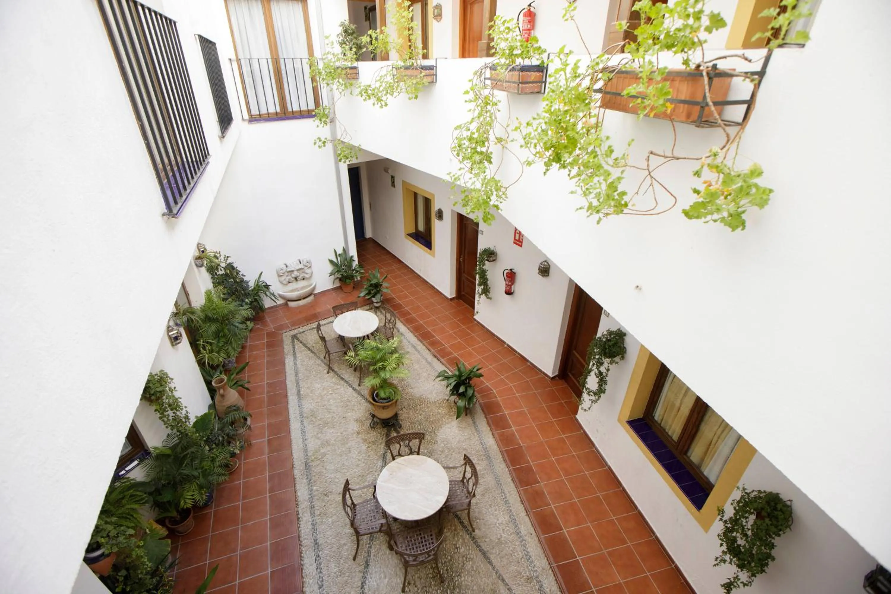 Patio in Hotel San Miguel