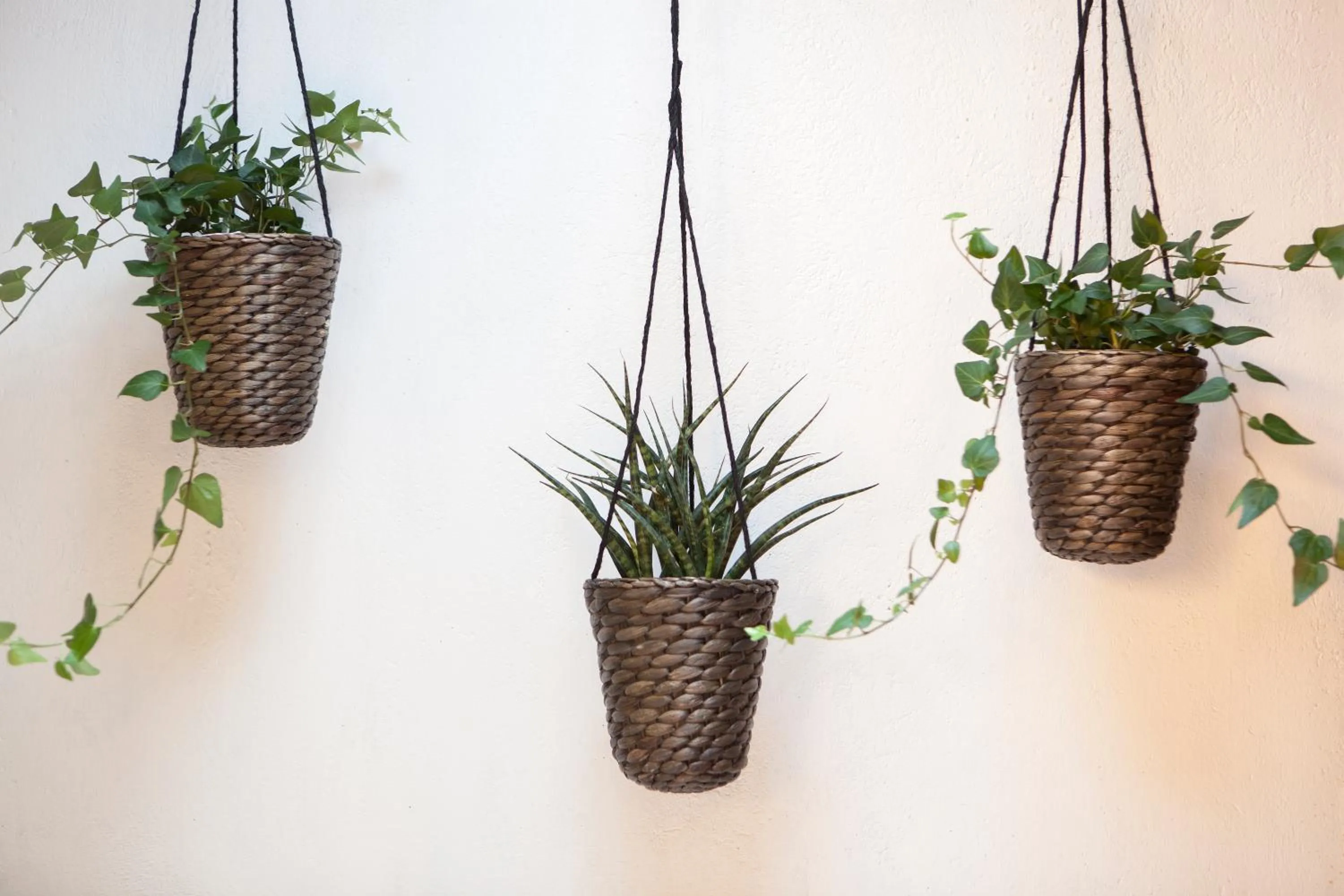 Decorative detail in Eco Boutique Hostal Grau