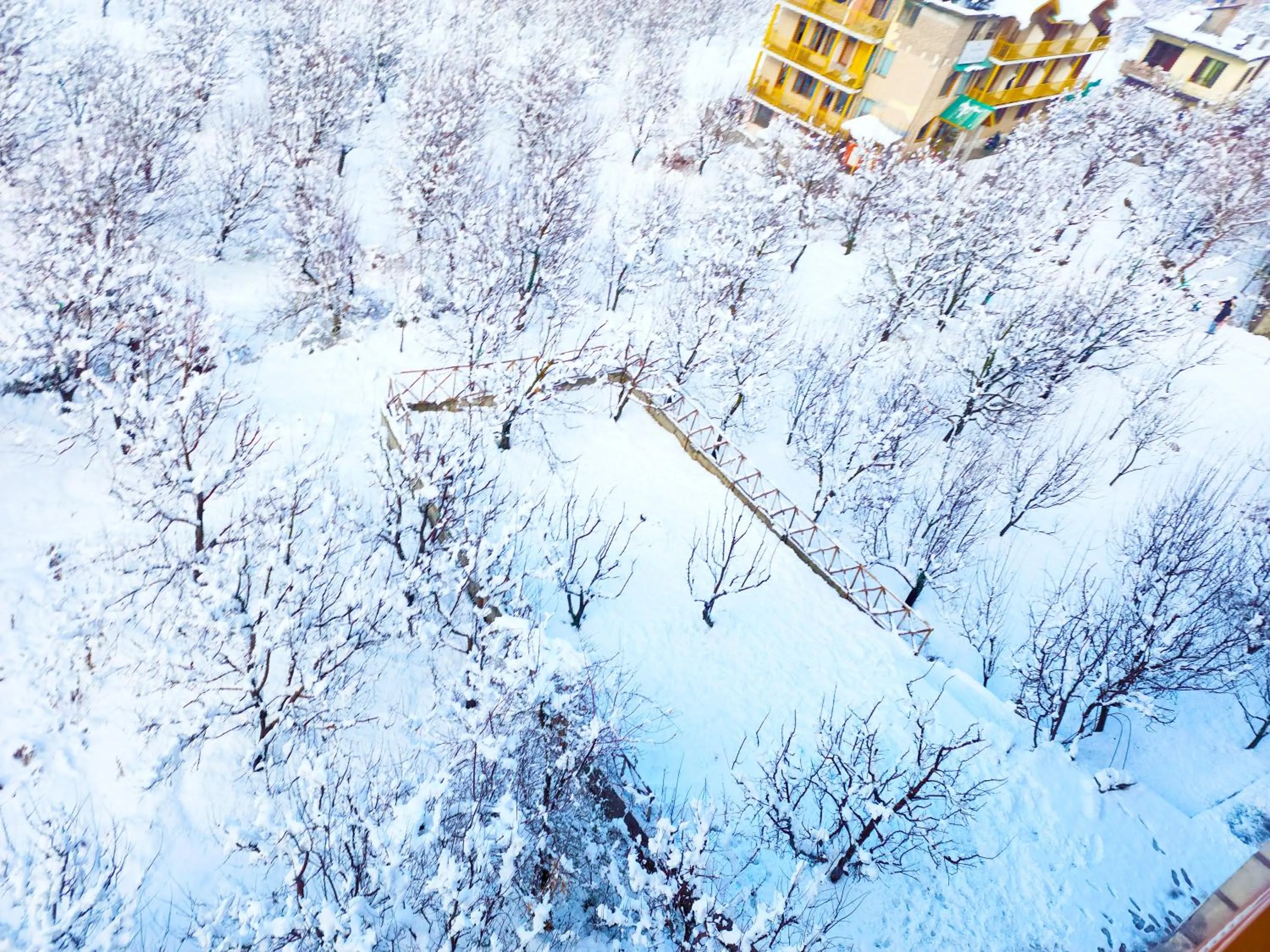 Garden view in Hotel Marina Heights