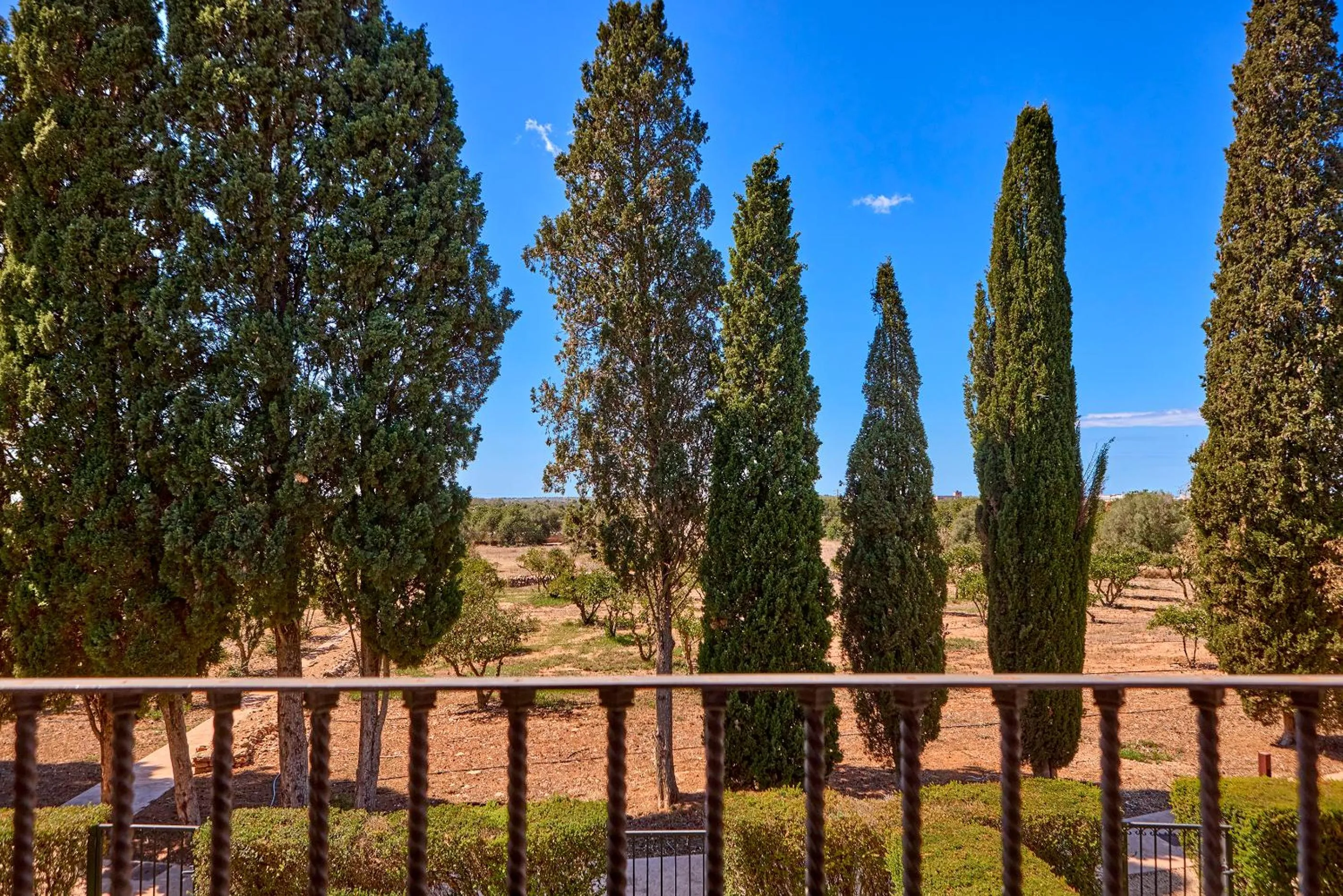 Garden view in Son Julia Country House & Spa