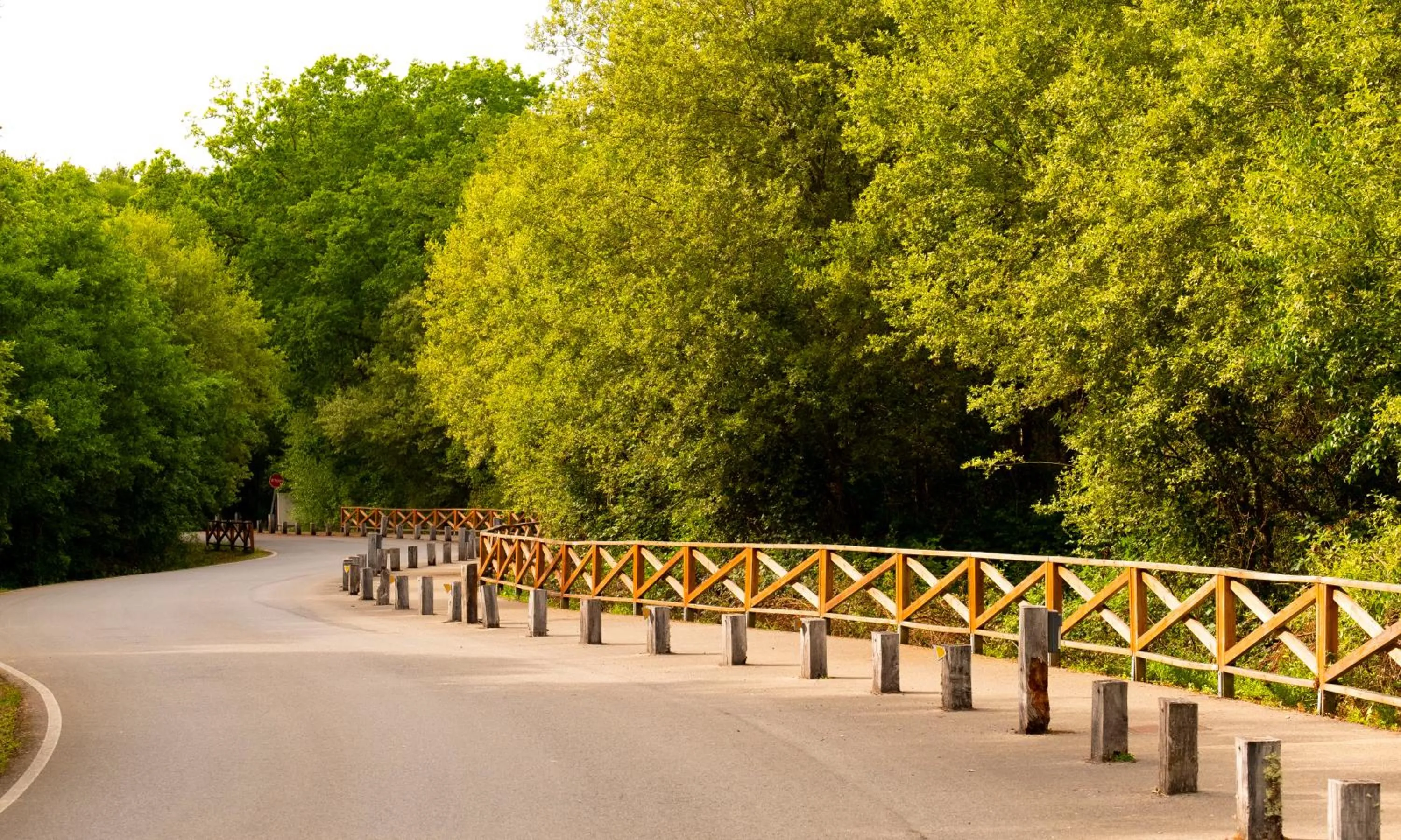 Facade/entrance in Hotel Spa Attica21 Vilalba