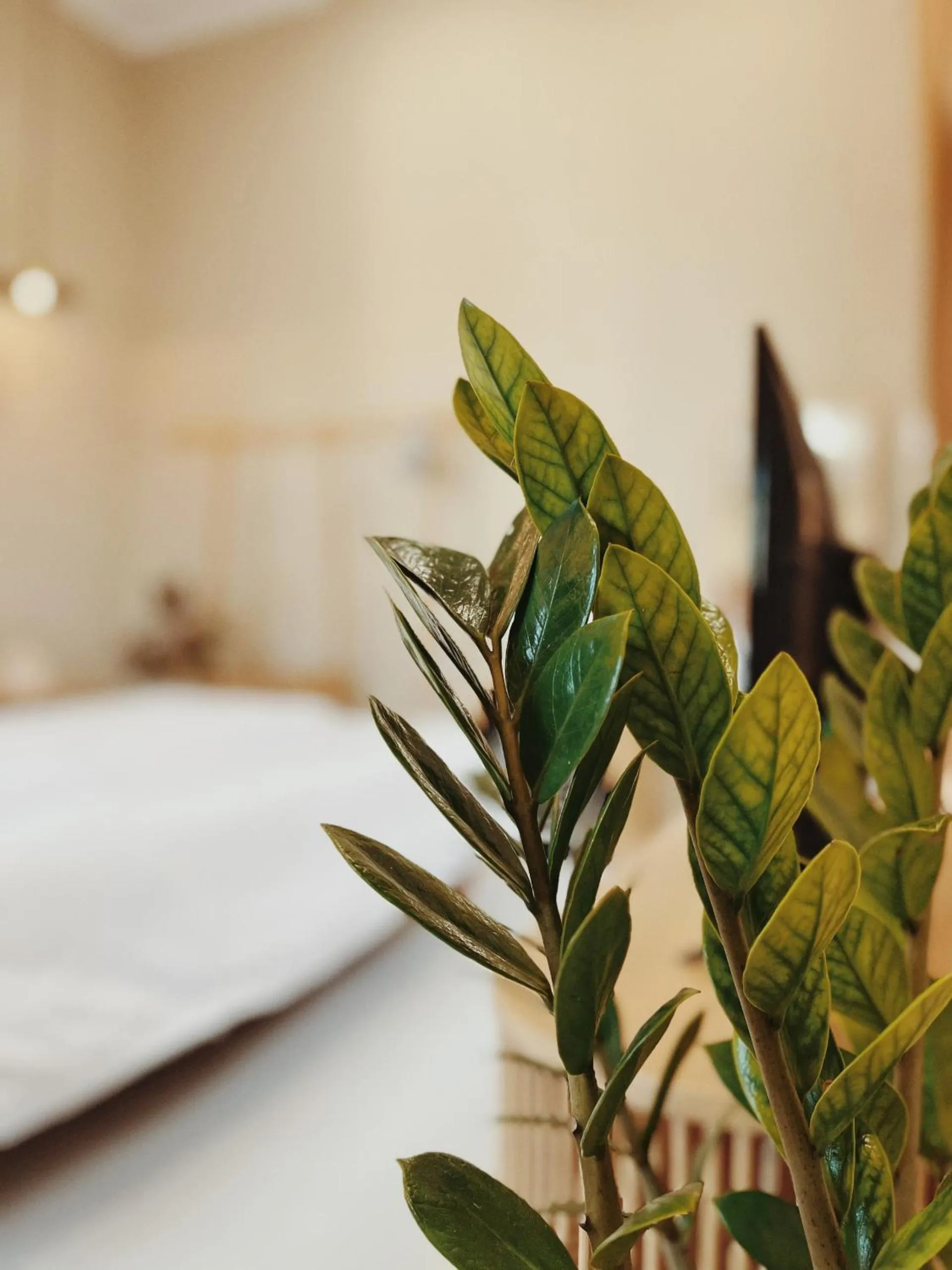 Bed in XOM House Biển Hồ