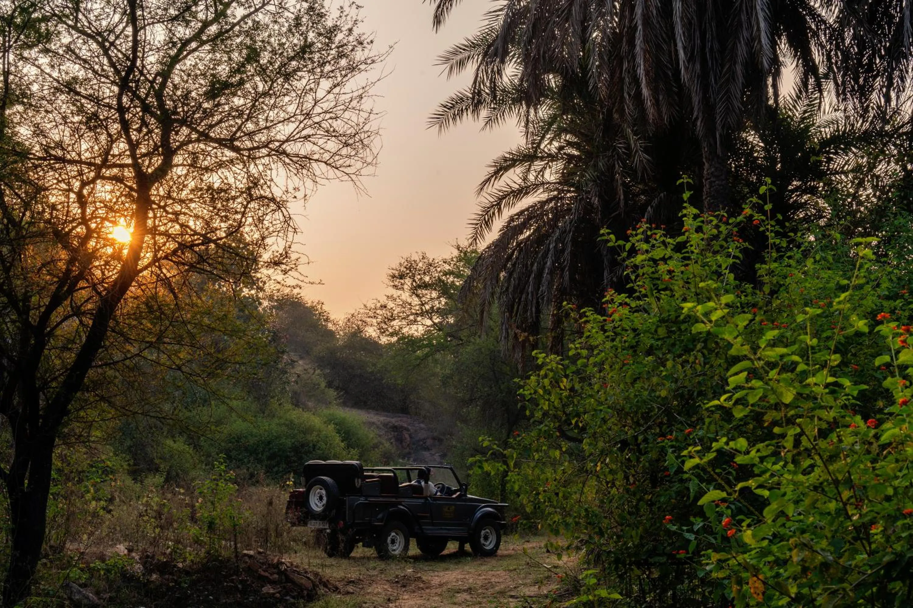 Natural landscape in Chunda Shikar Oudi