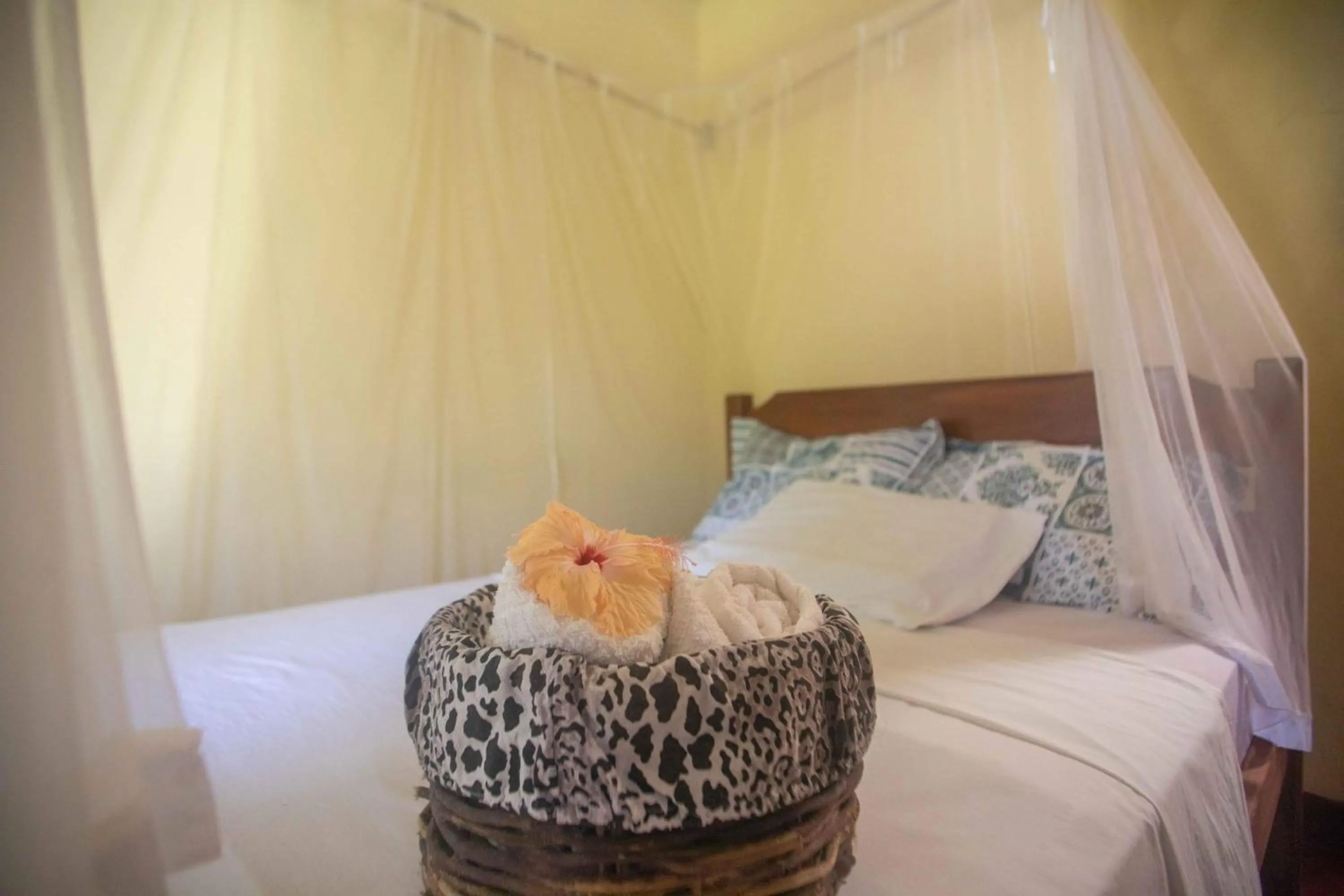 Pousada Deus mim Deu