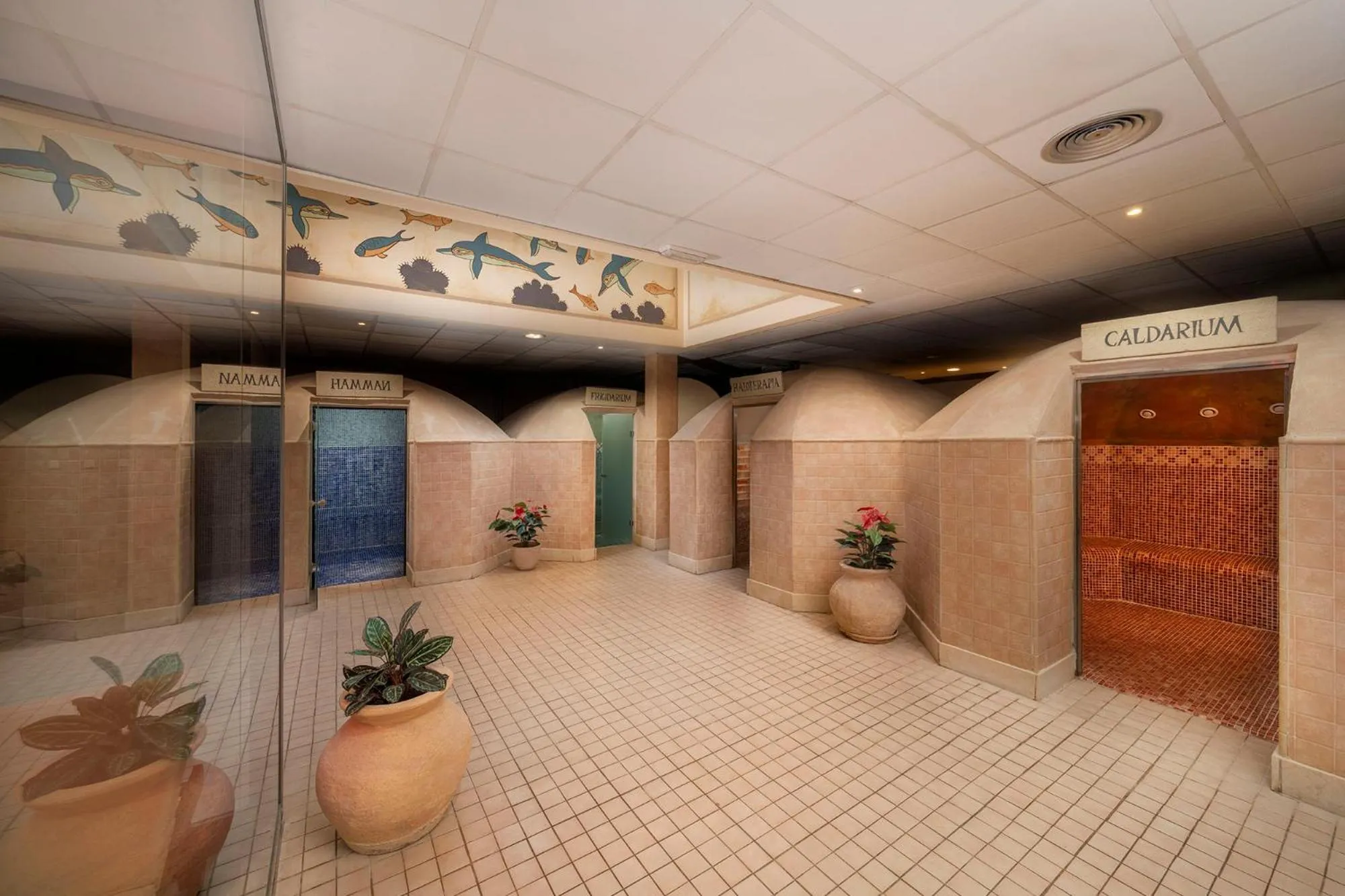 Spa and wellness centre/facilities in Peñiscola Plaza Suites