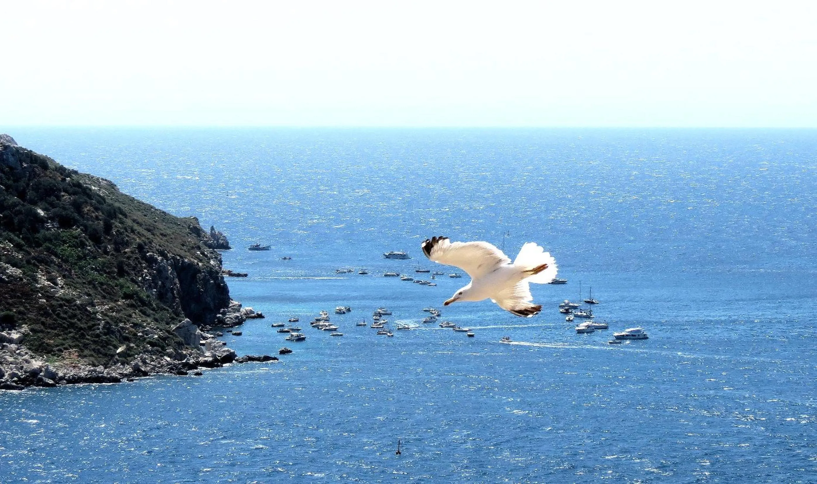 Fishing in Hotel Santa Anna