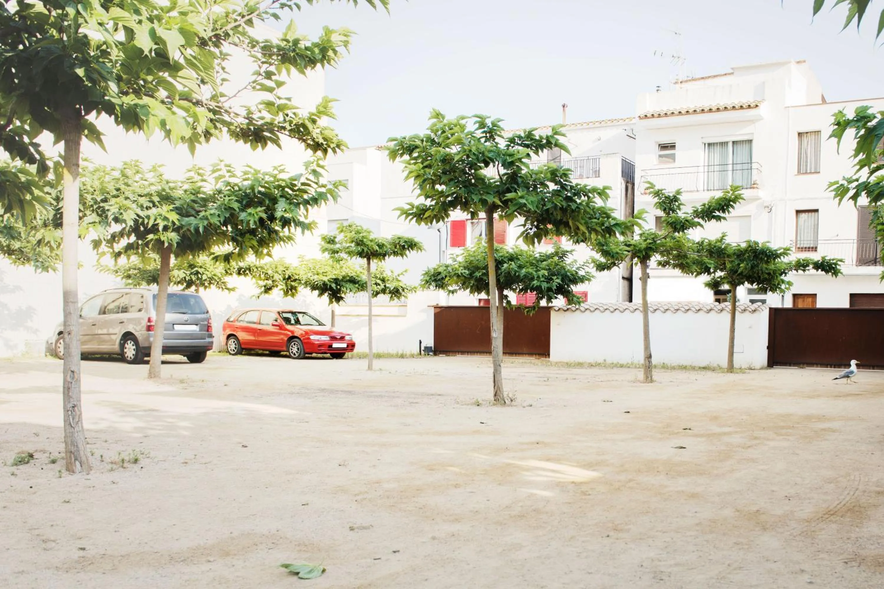 Area and facilities in Hotel Santa Anna