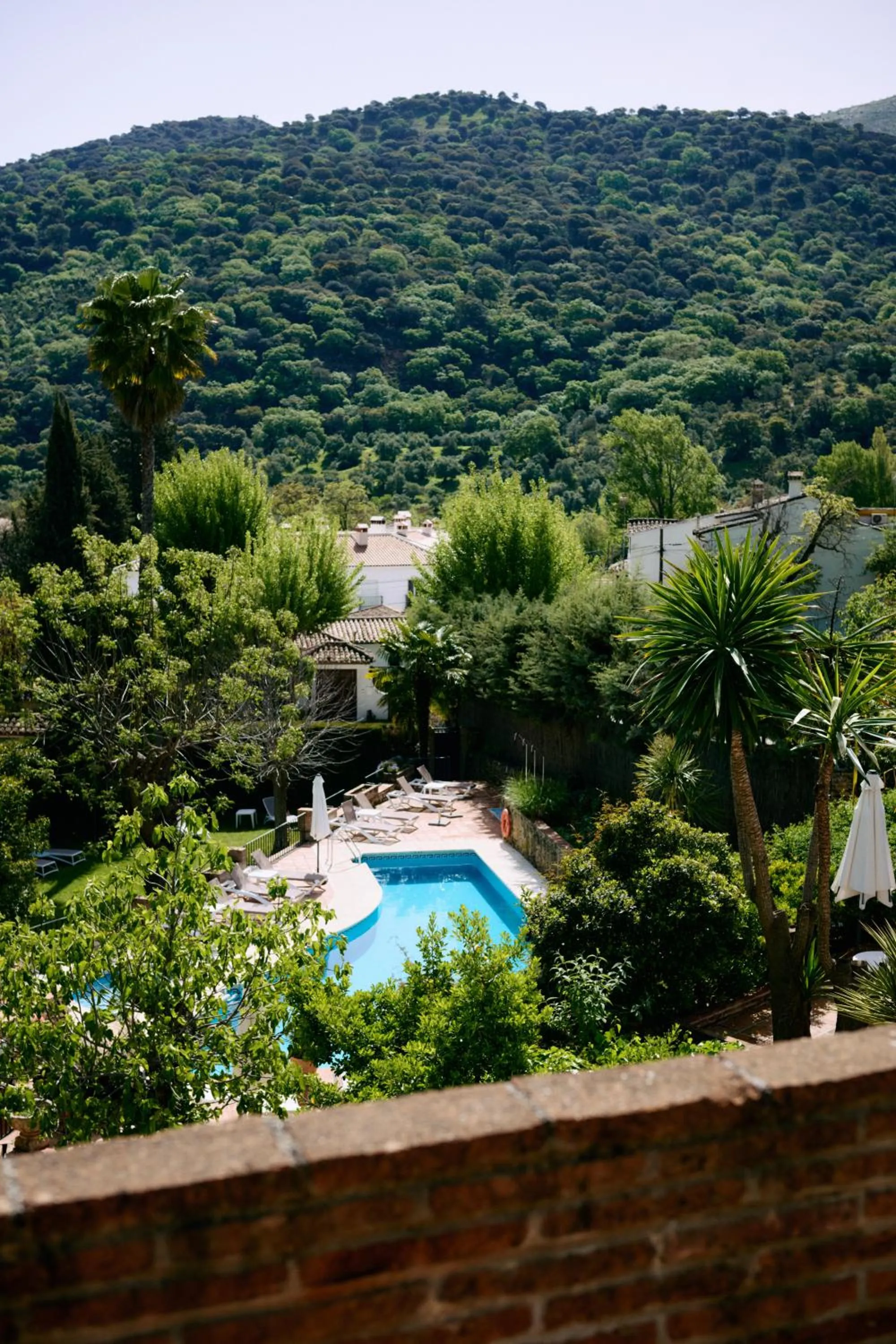 Natural landscape in Molino Del Santo