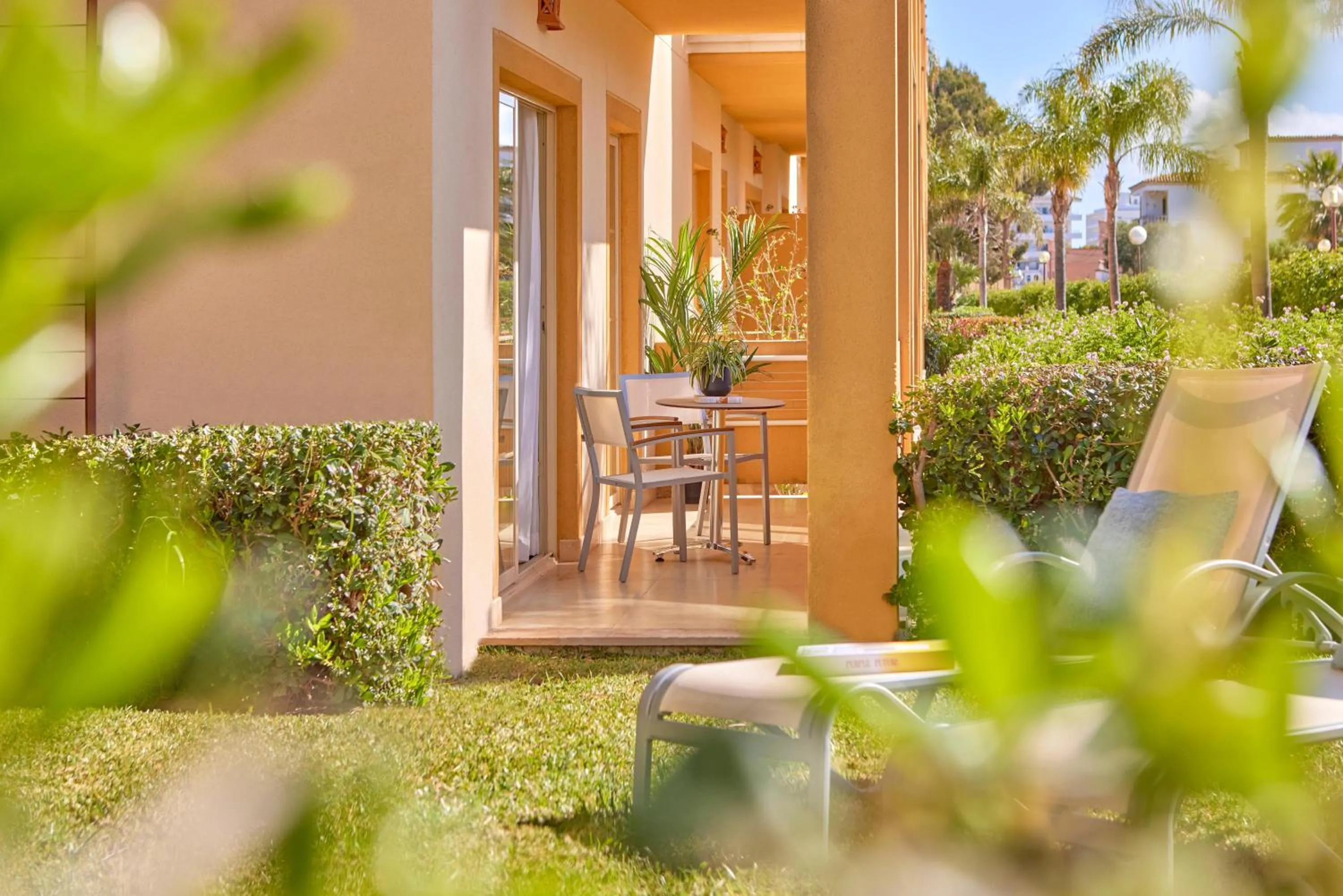 Garden in Zafiro Mallorca & Spa