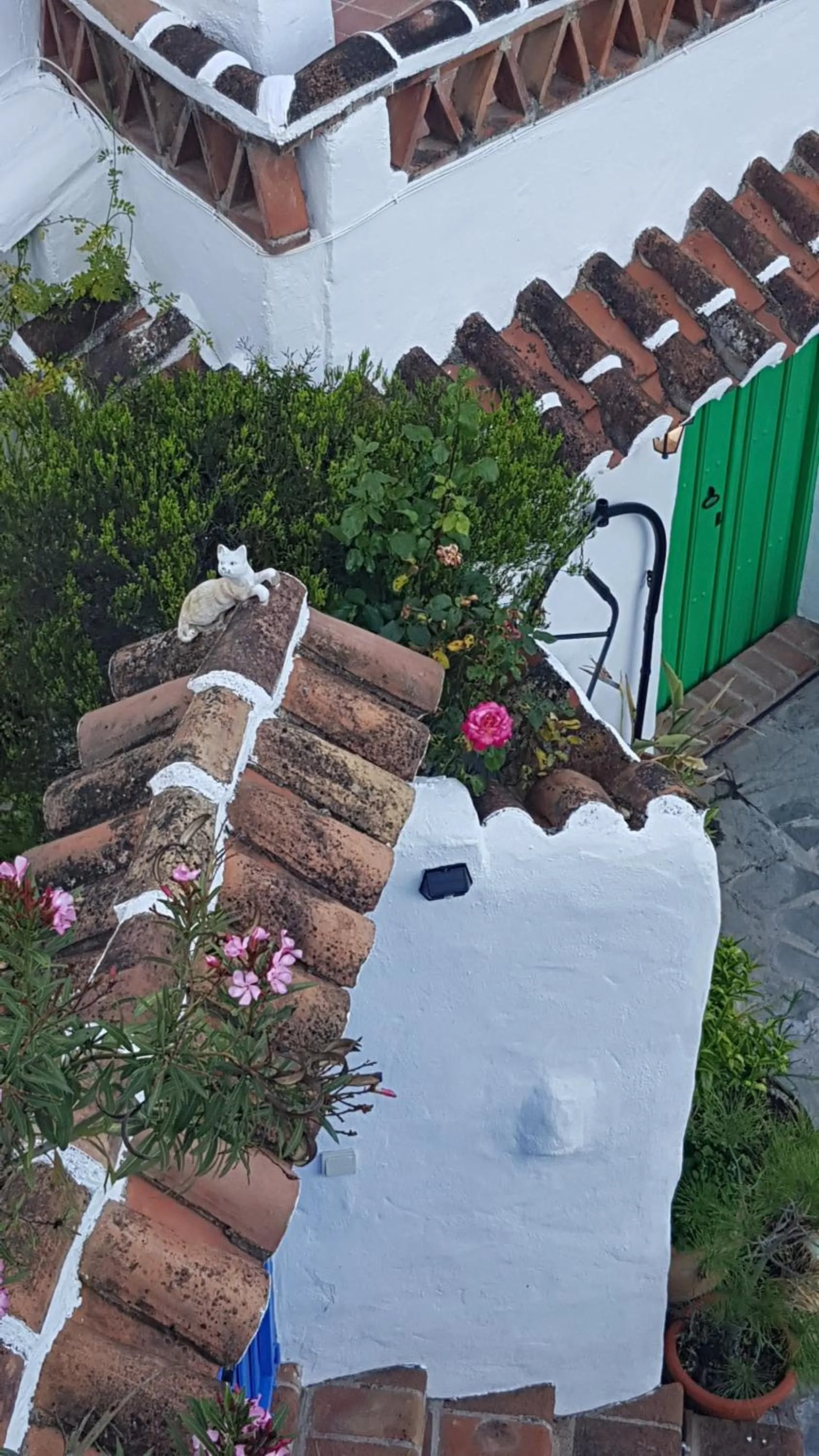 Property building in The Lost Village El Acebuchal