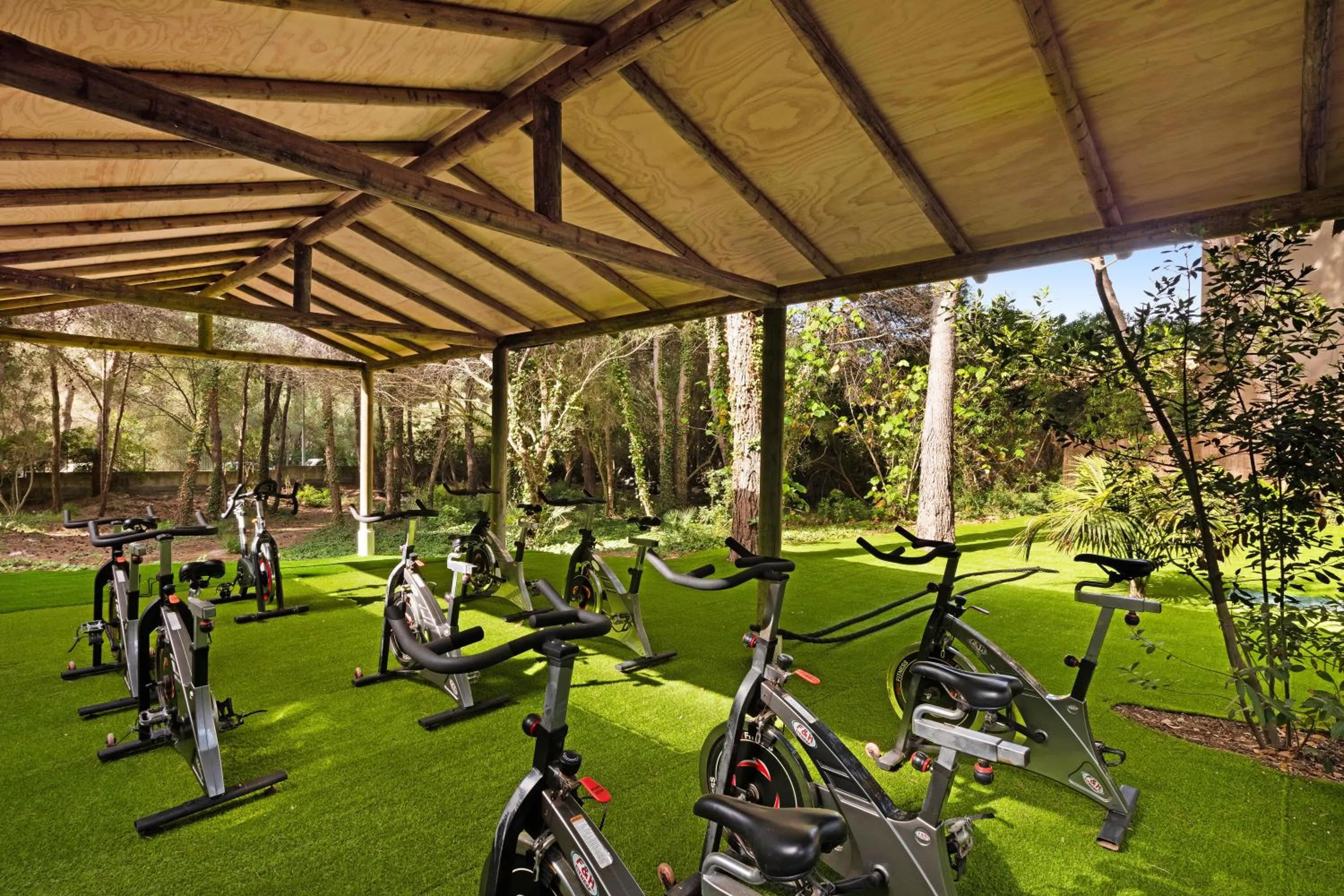 Activities in VIVA Cala Mesquida Suites & Spa Adults Only 16