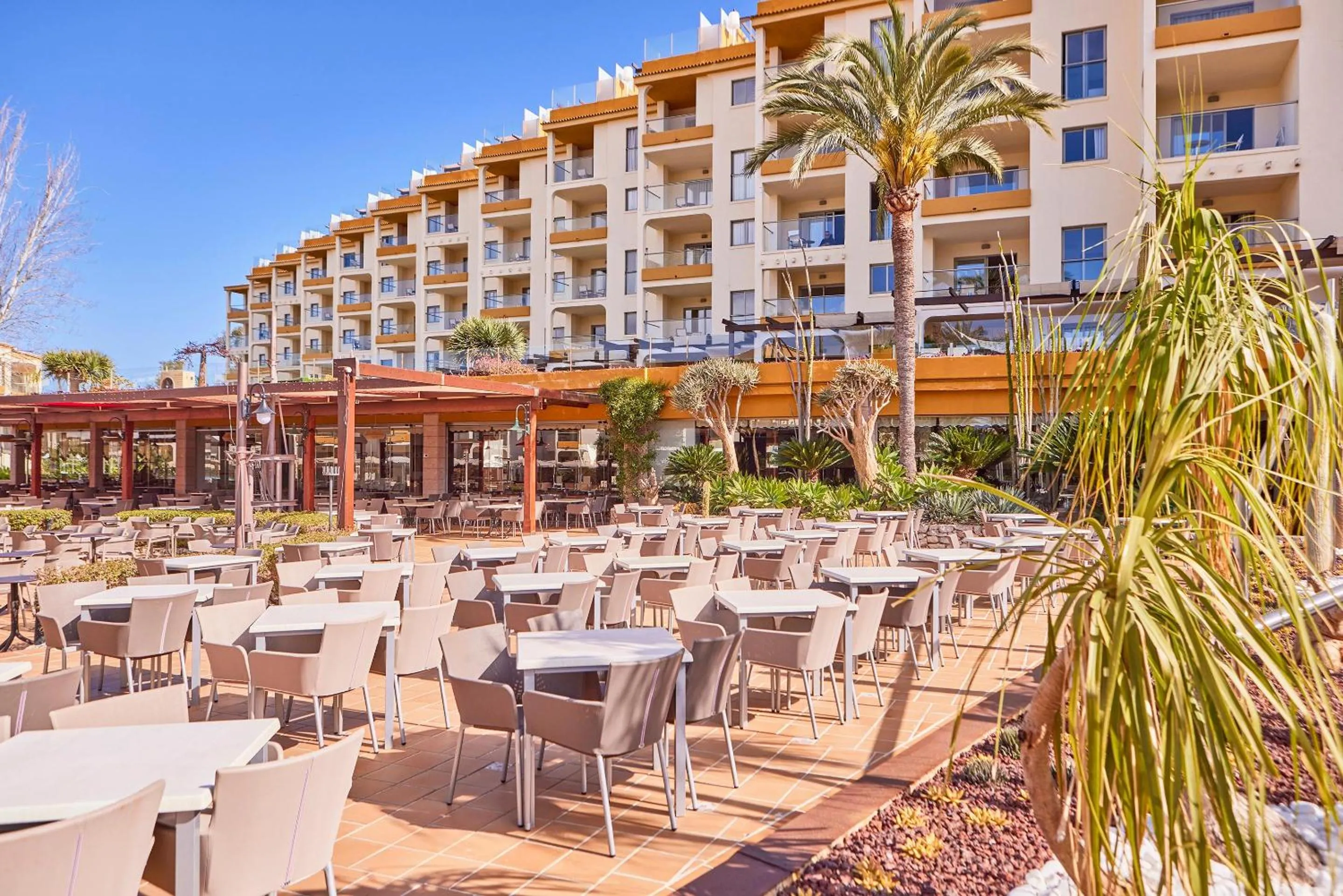 Balcony/Terrace in Zafiro Tropic