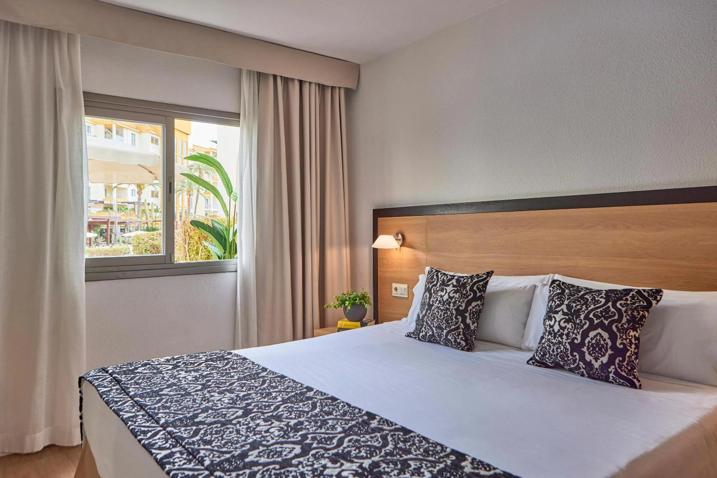 Photo of the whole room, Bed in Zafiro Tropic