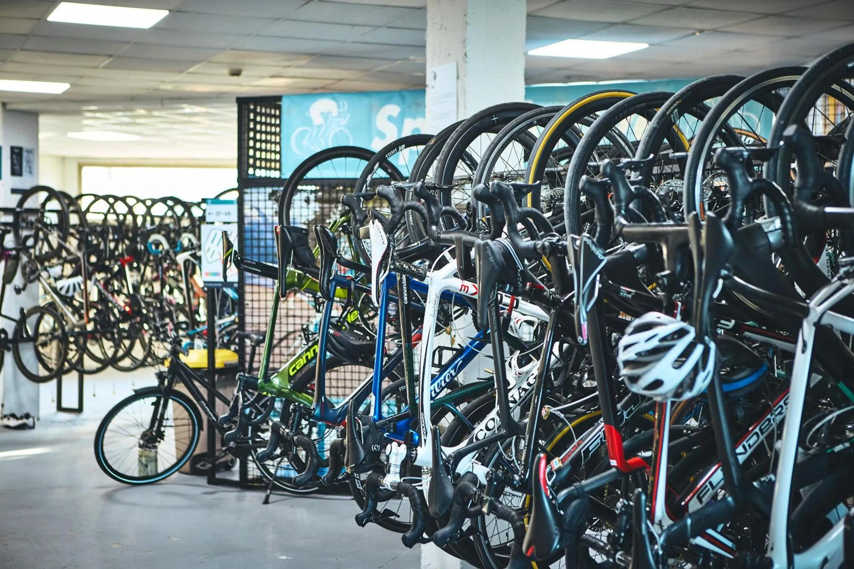 Activities in Zafiro Tropic