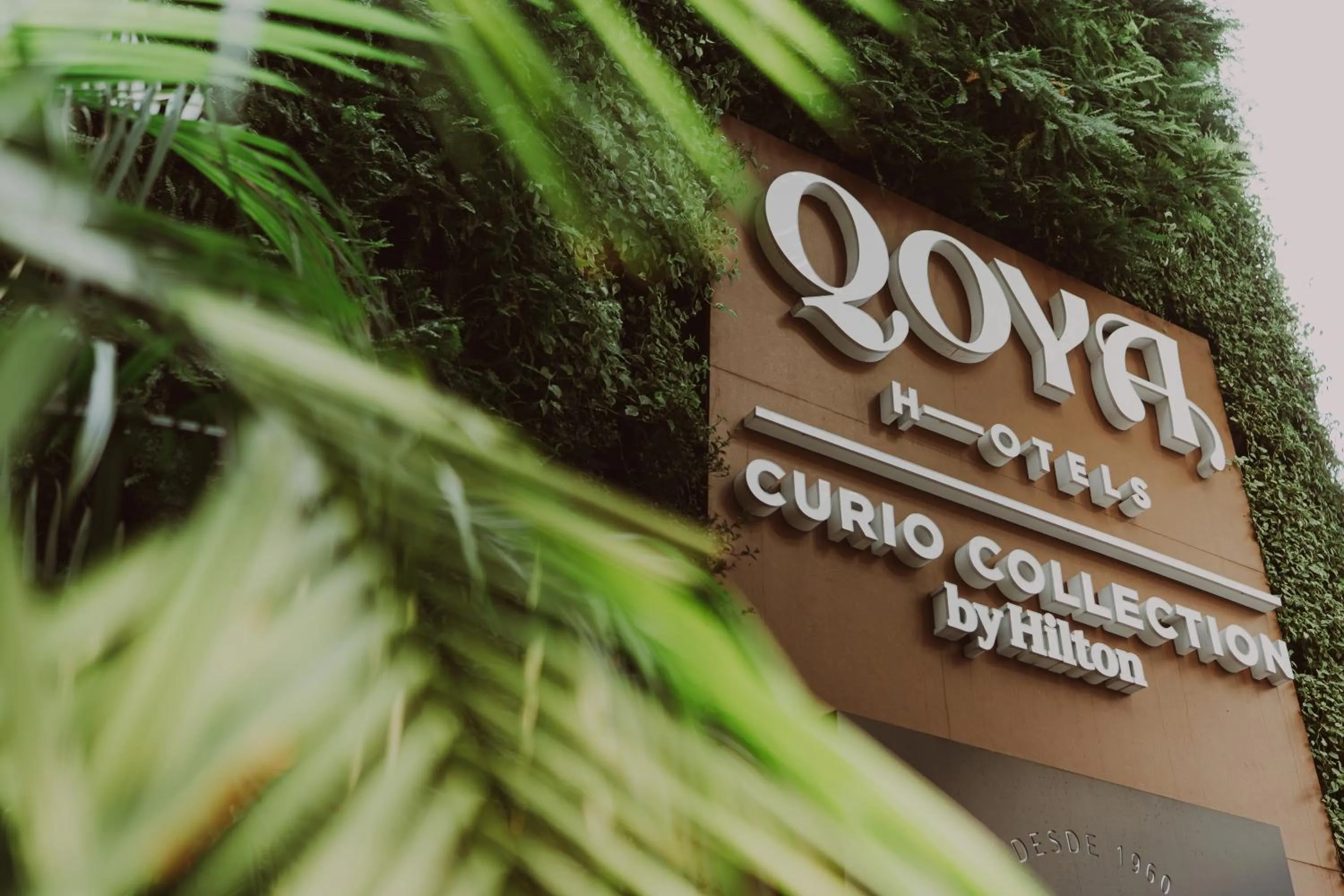 Qoya São Paulo Paulista, Curio Collection by Hilton