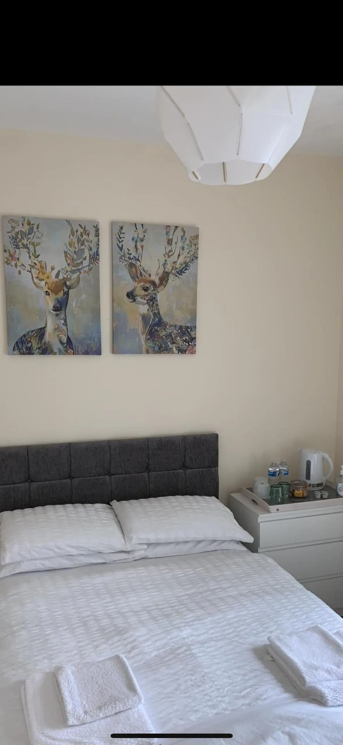 Smeaton street rooms