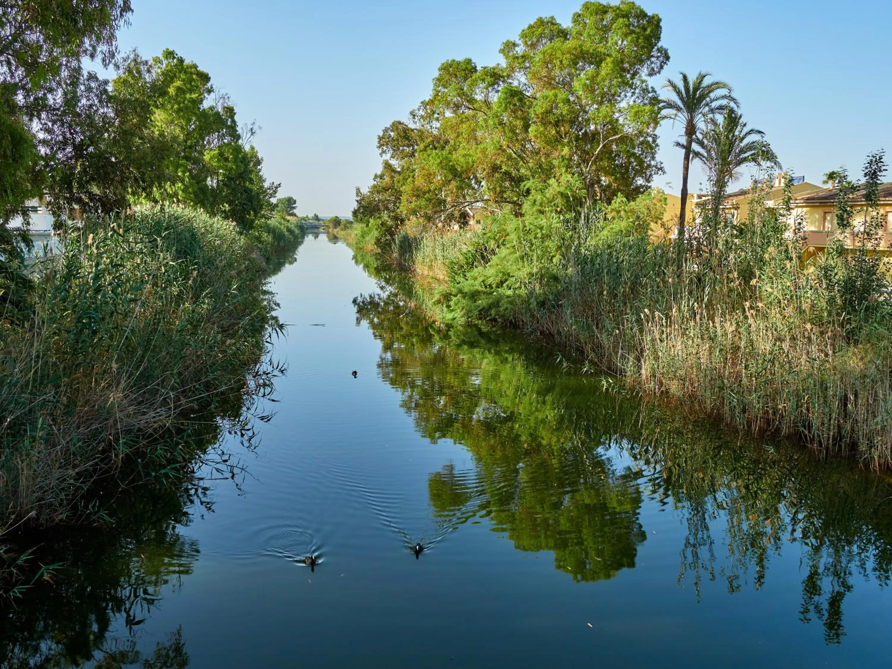 Natural landscape in BQ Alcudia Sun Village