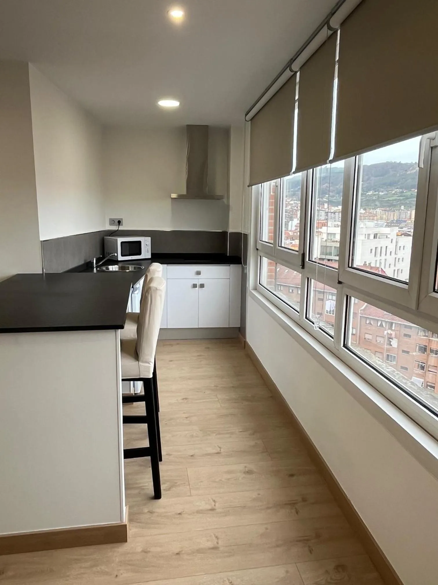 Kitchen or kitchenette in Hotel Gran Regente