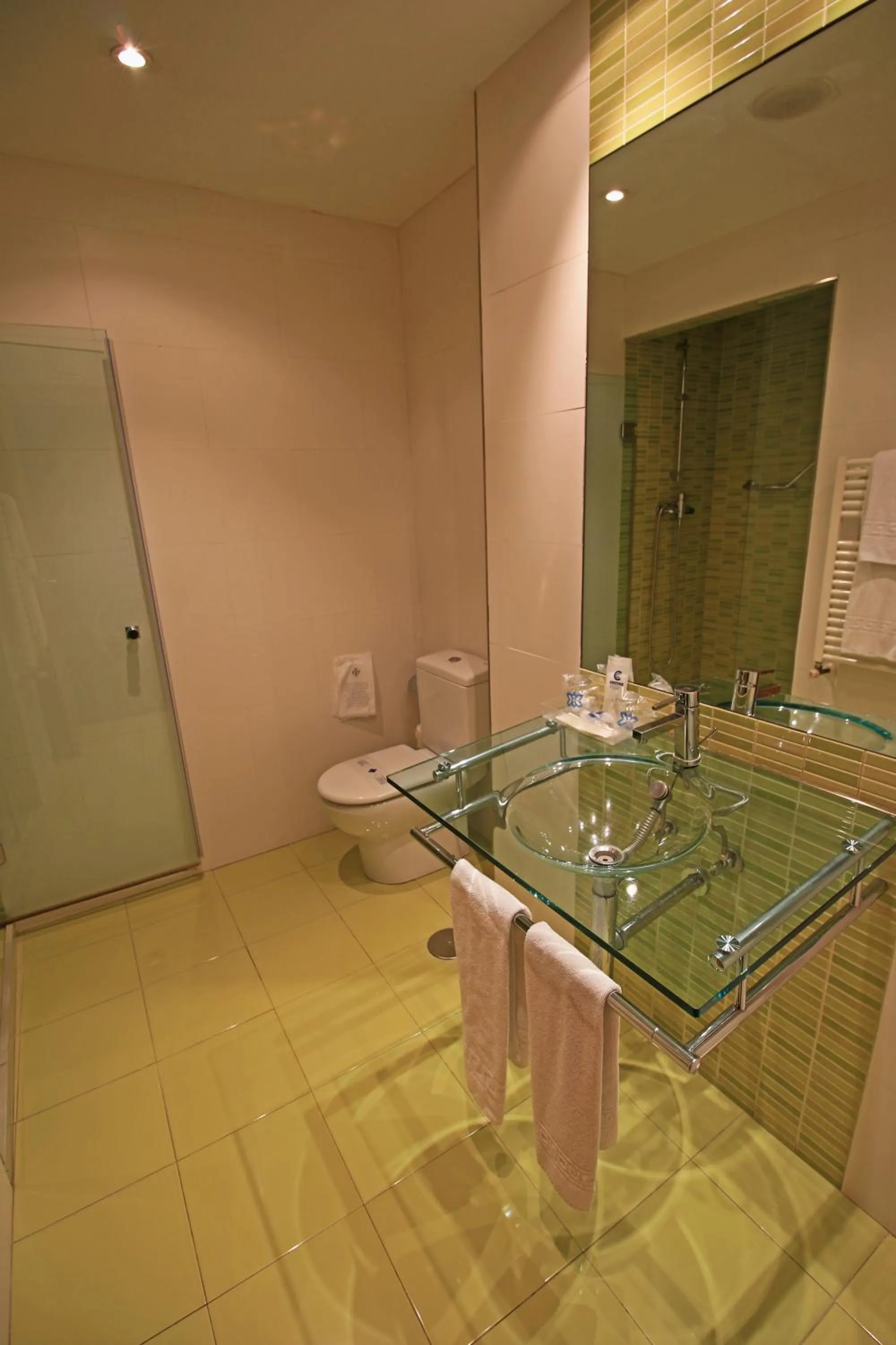 Bathroom in Hotel Gran Regente