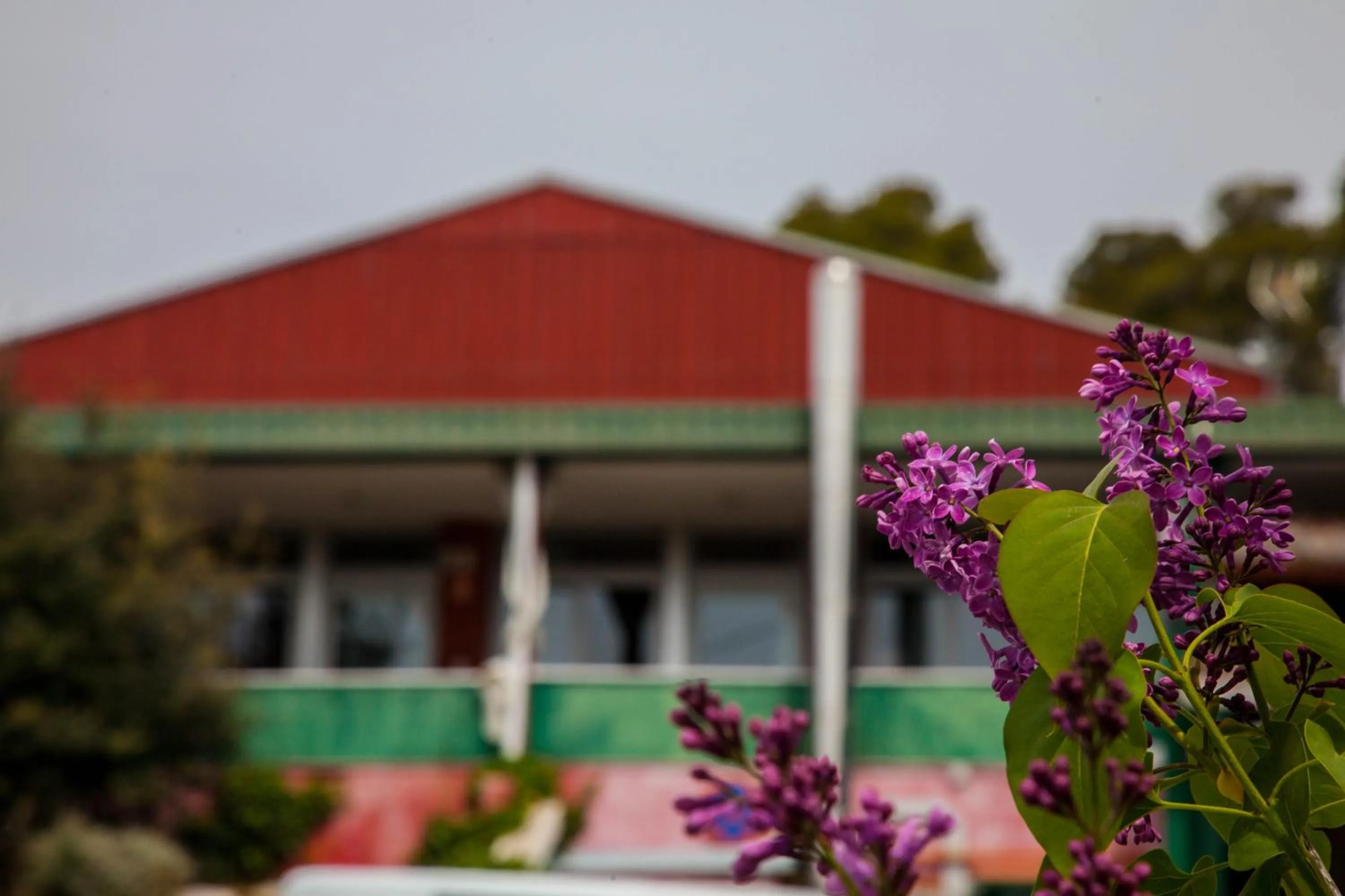 Balcony/Terrace in Inout