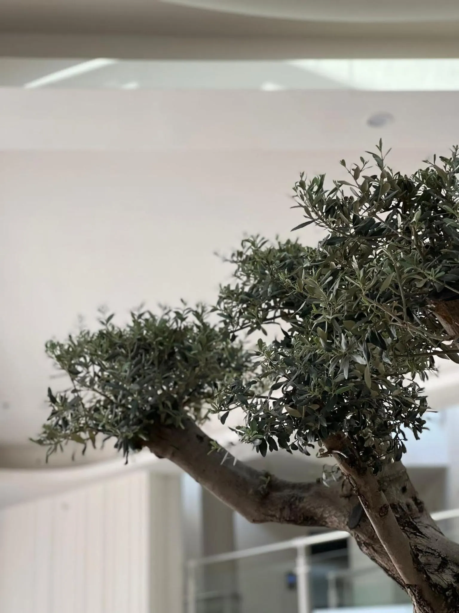 Decorative detail in Arin Resort Bodrum