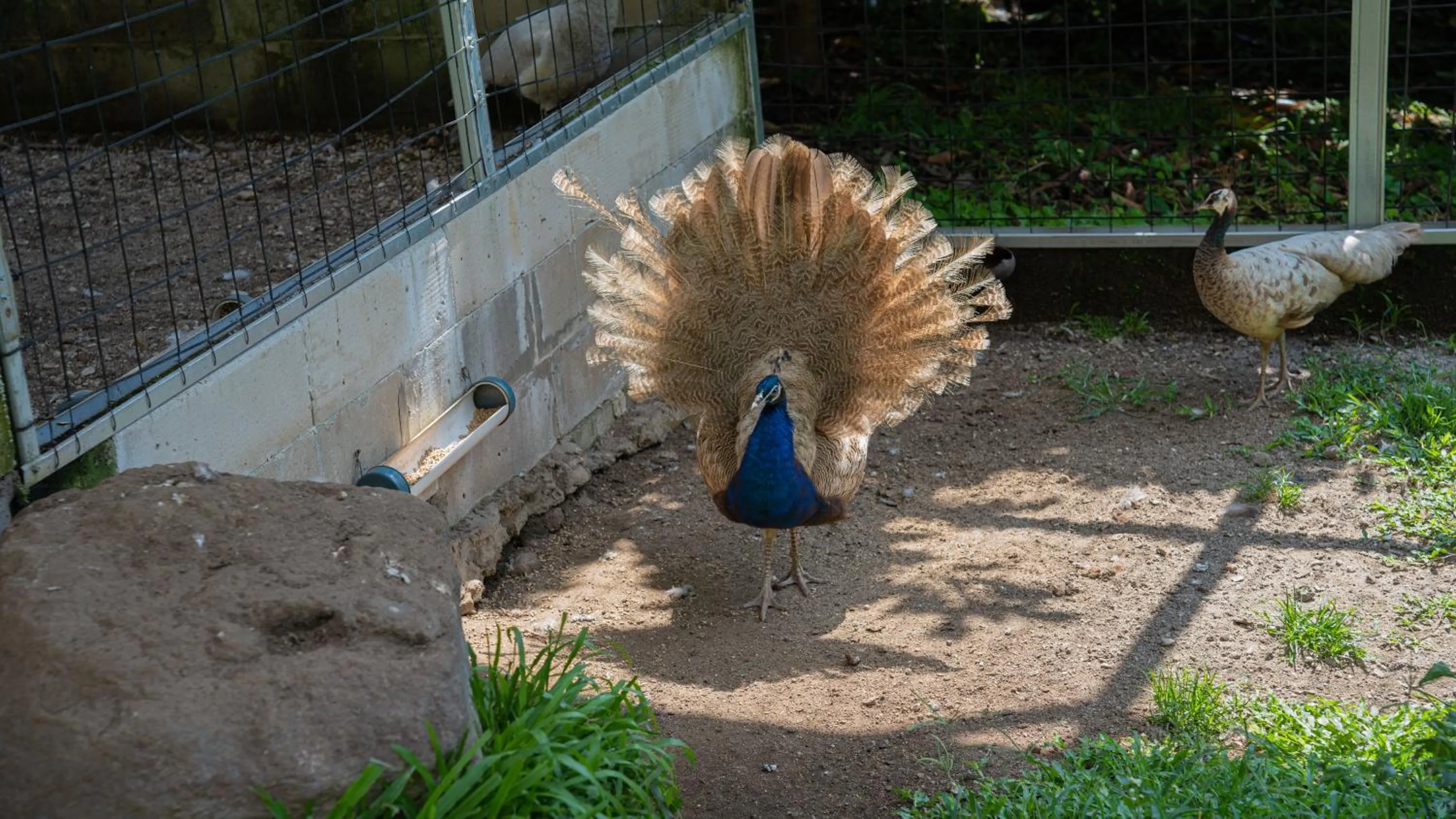 Day in Leuweung Geledegan Ecoldge