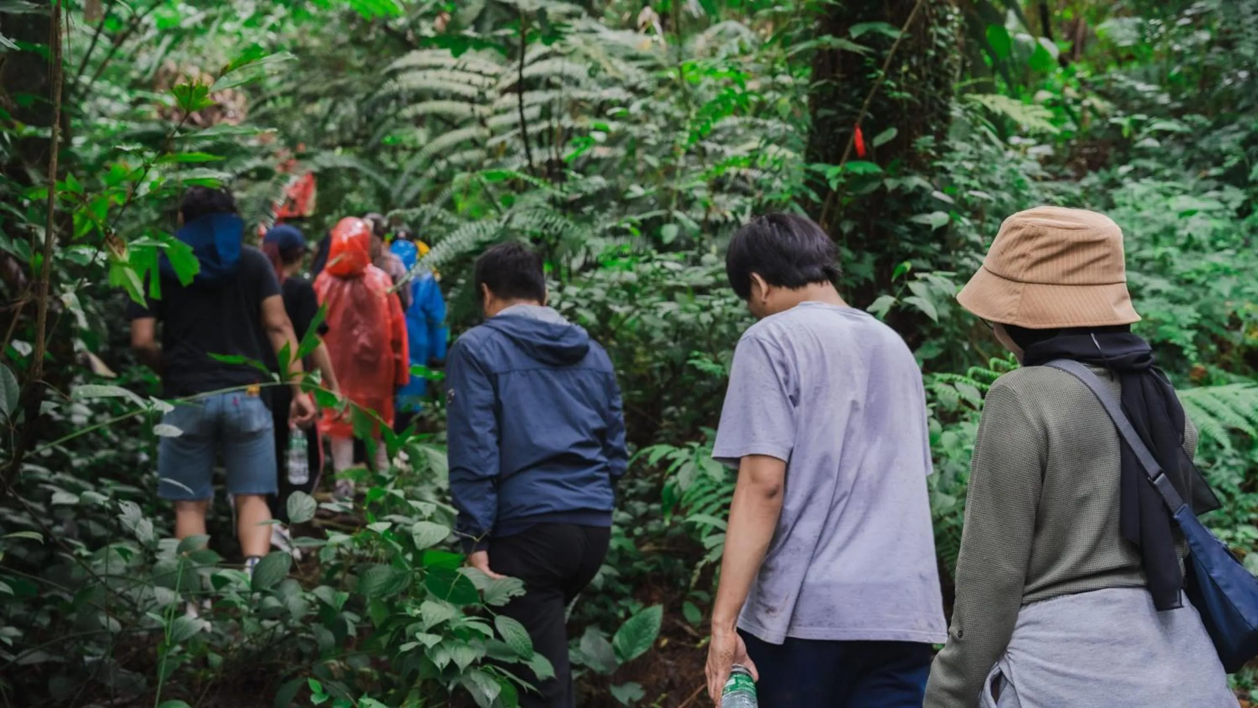 Spring in Leuweung Geledegan Ecoldge