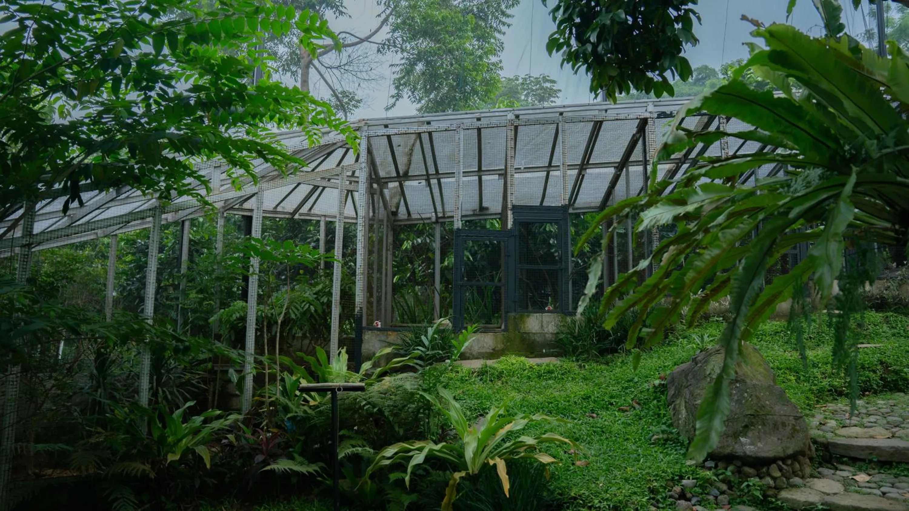 Spring in Leuweung Geledegan Ecoldge