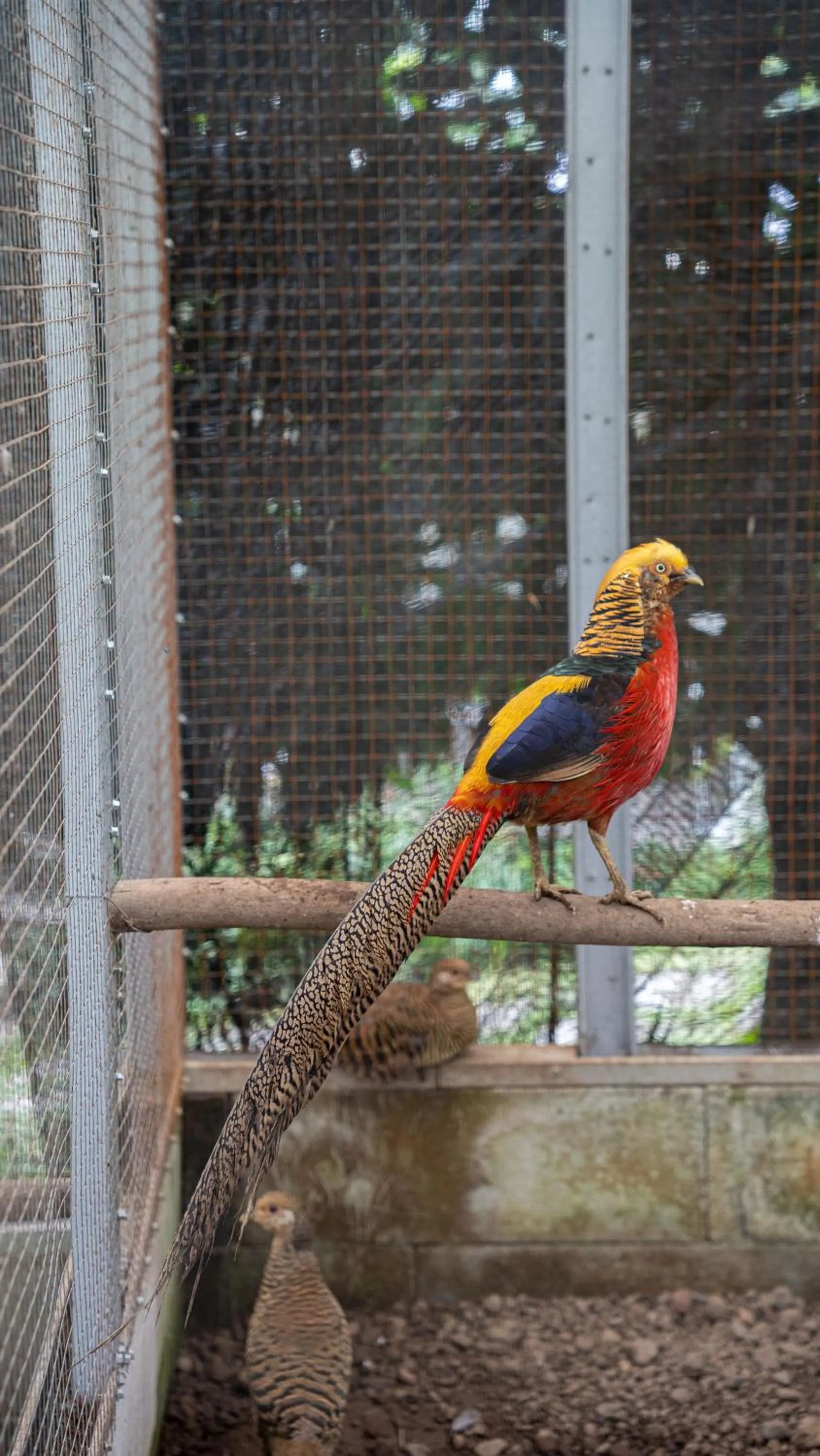 Activities in Leuweung Geledegan Ecoldge