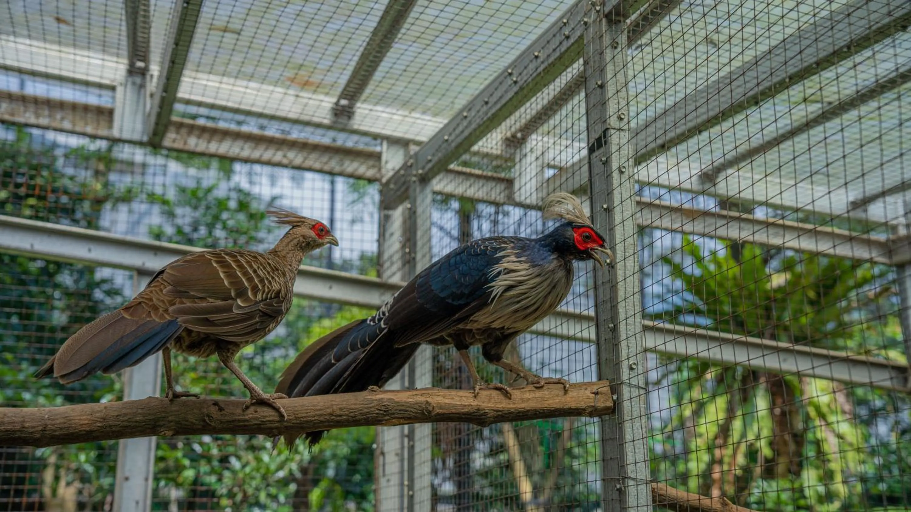 Day in Leuweung Geledegan Ecoldge