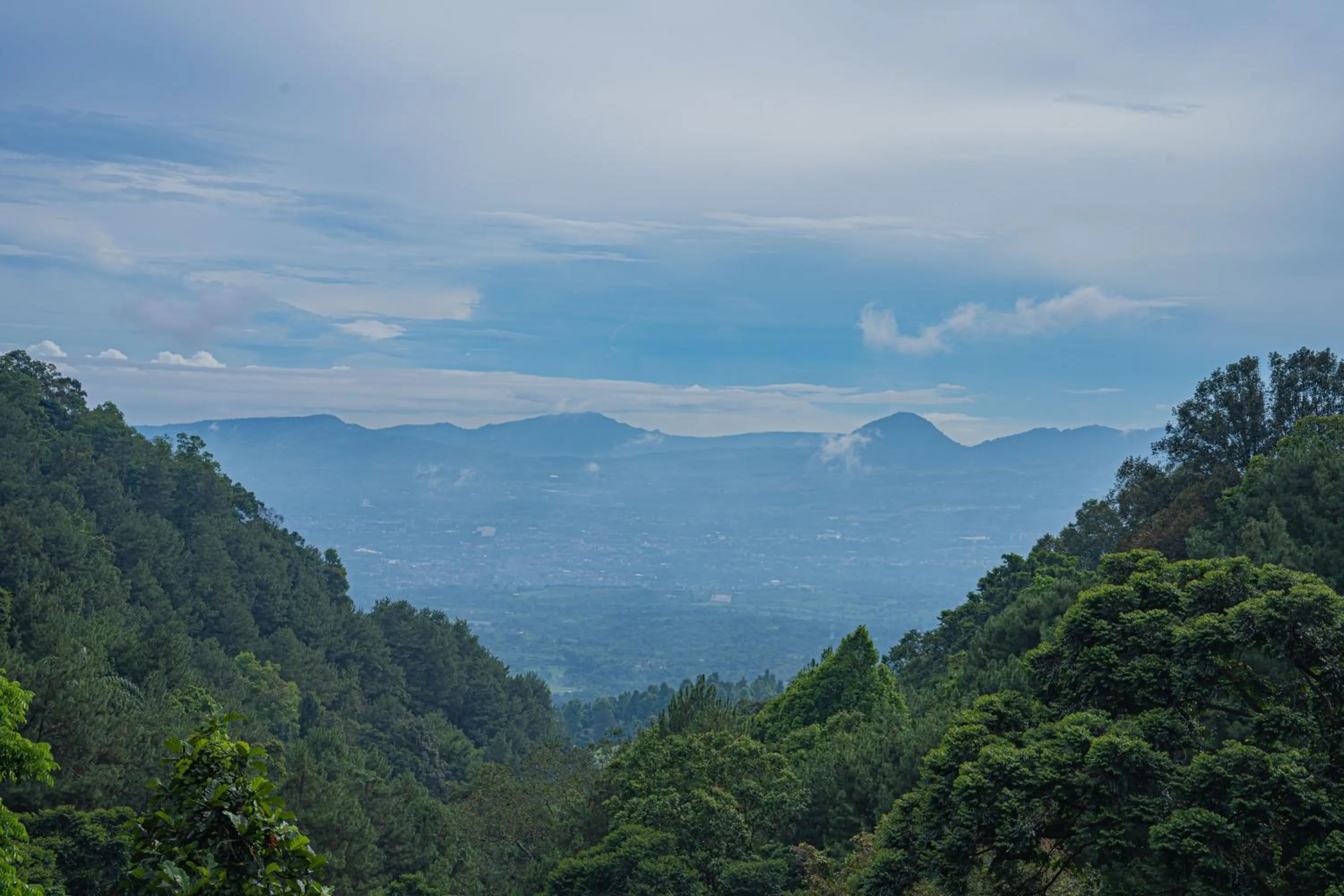 Nearby landmark in Leuweung Geledegan Ecoldge
