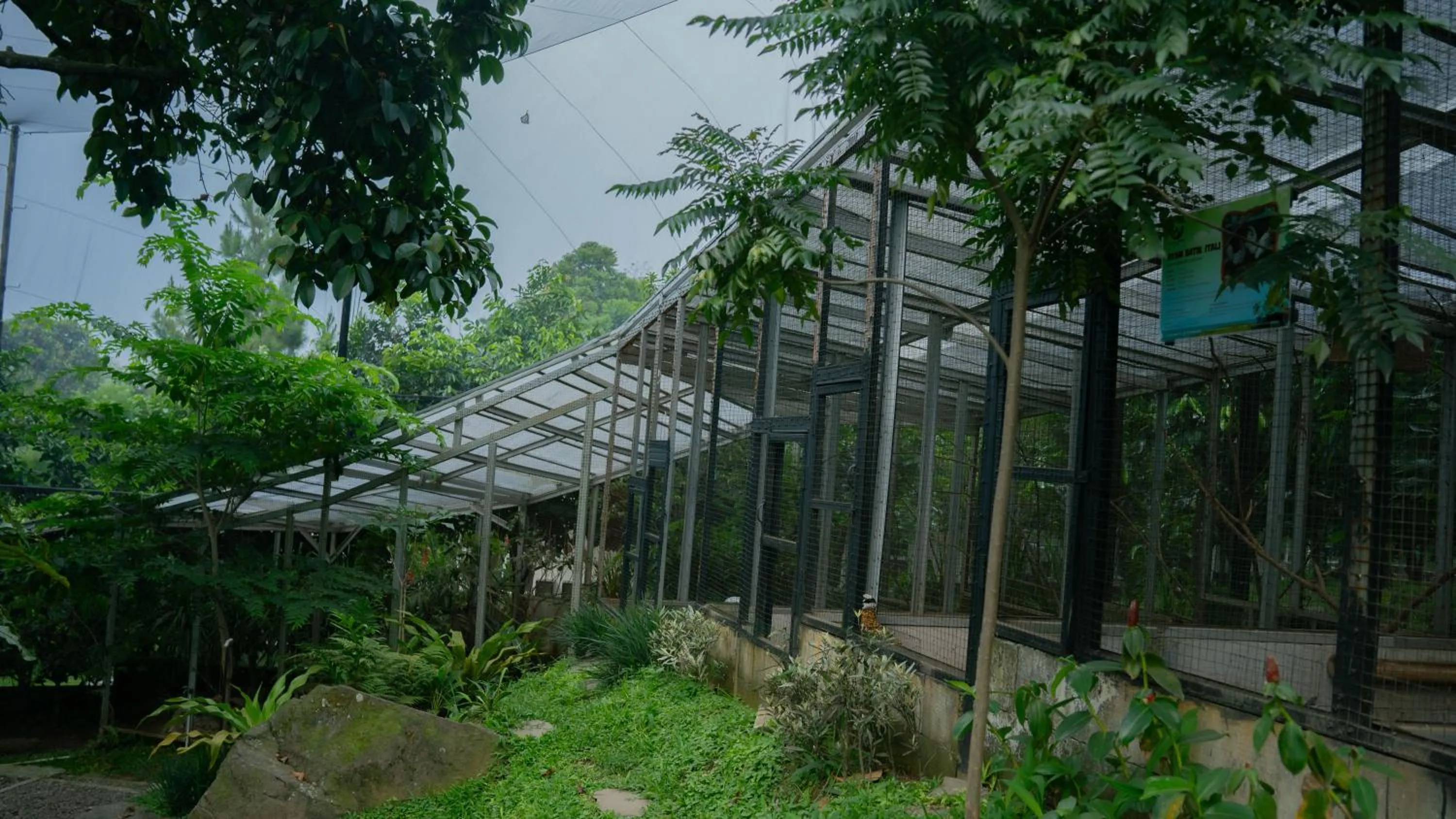 Spring in Leuweung Geledegan Ecoldge