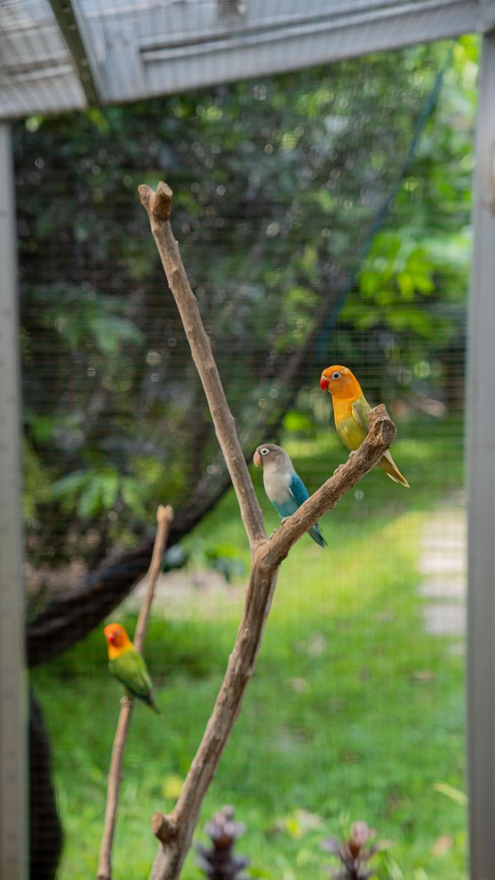 Spring in Leuweung Geledegan Ecoldge