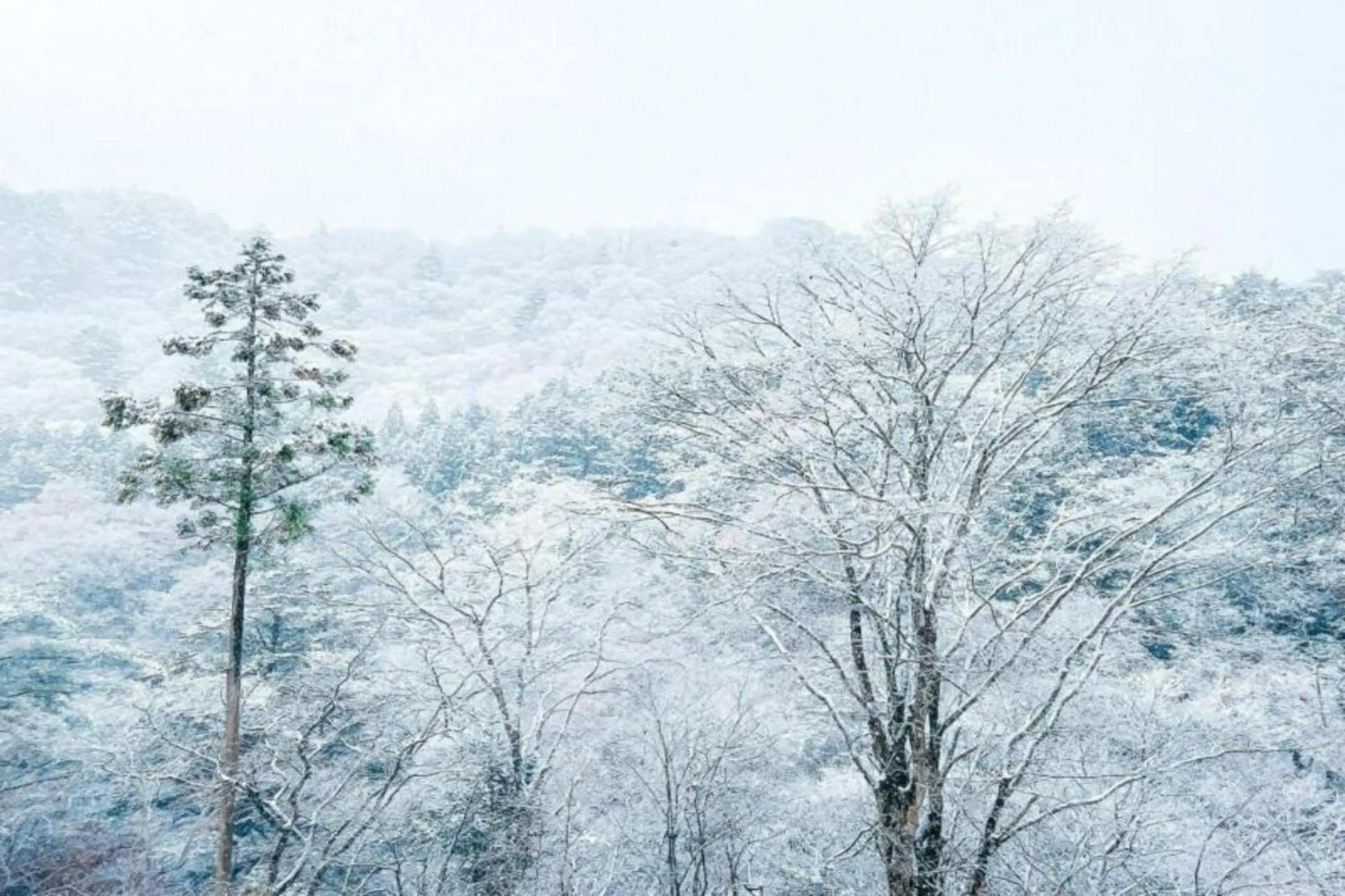 Day in Shionoyu Onsen Rengetsu