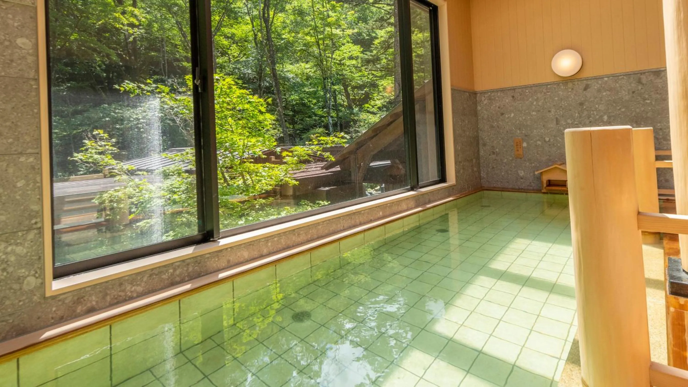Hot Spring Bath in Shionoyu Onsen Rengetsu